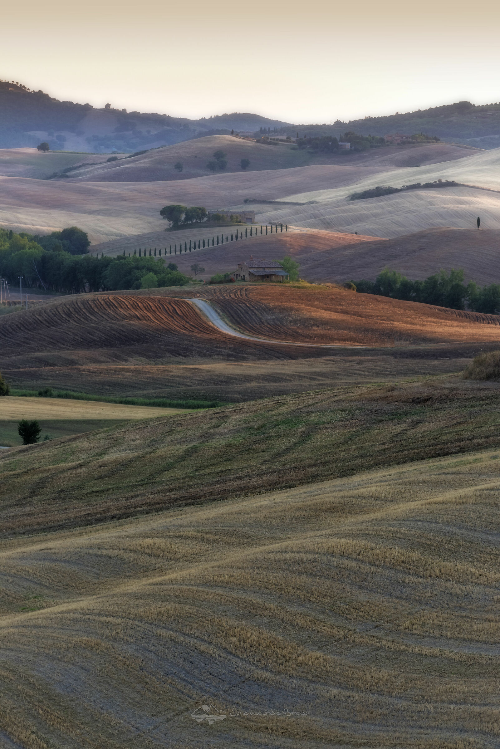 Tuscan curves