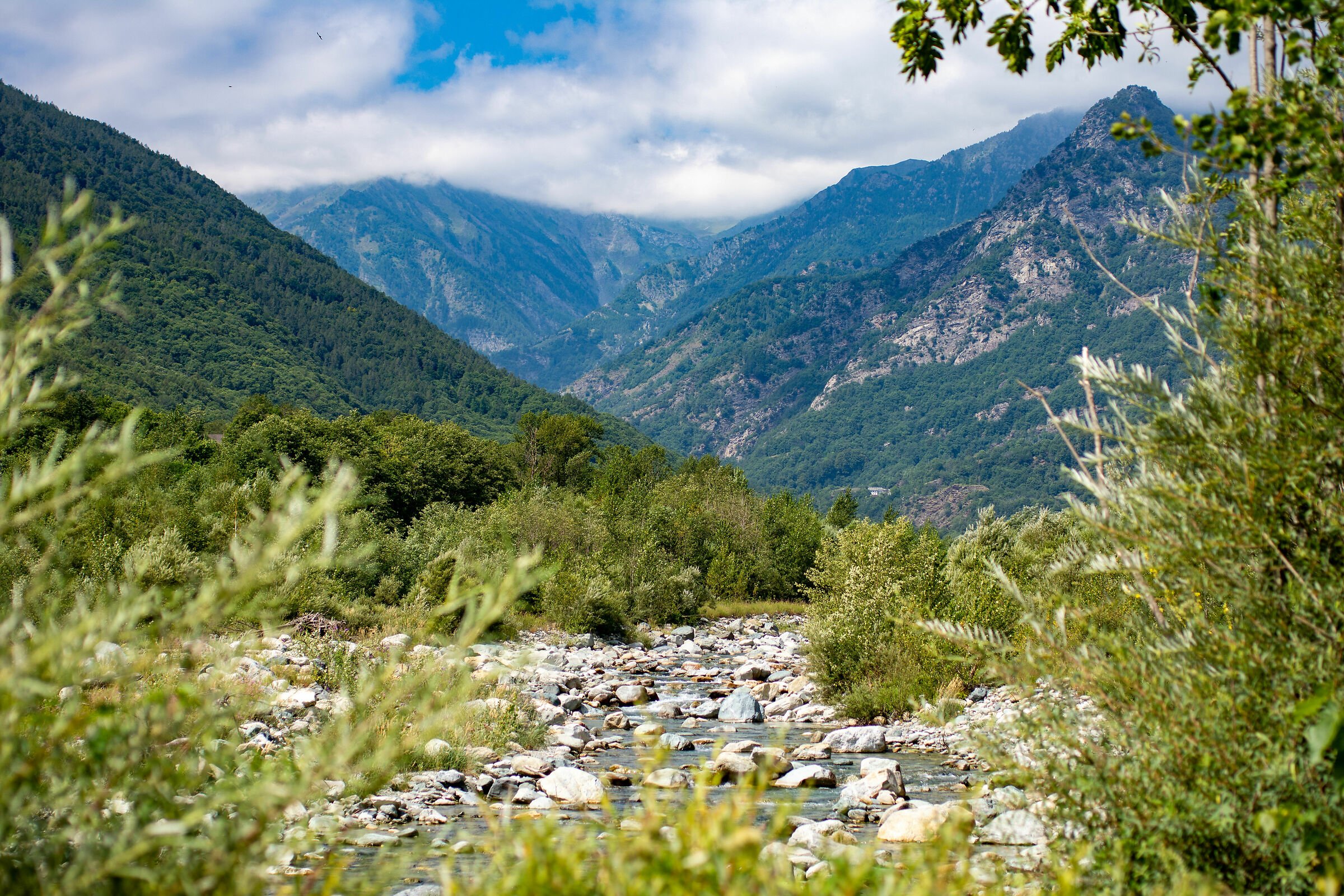 landscape low mountain