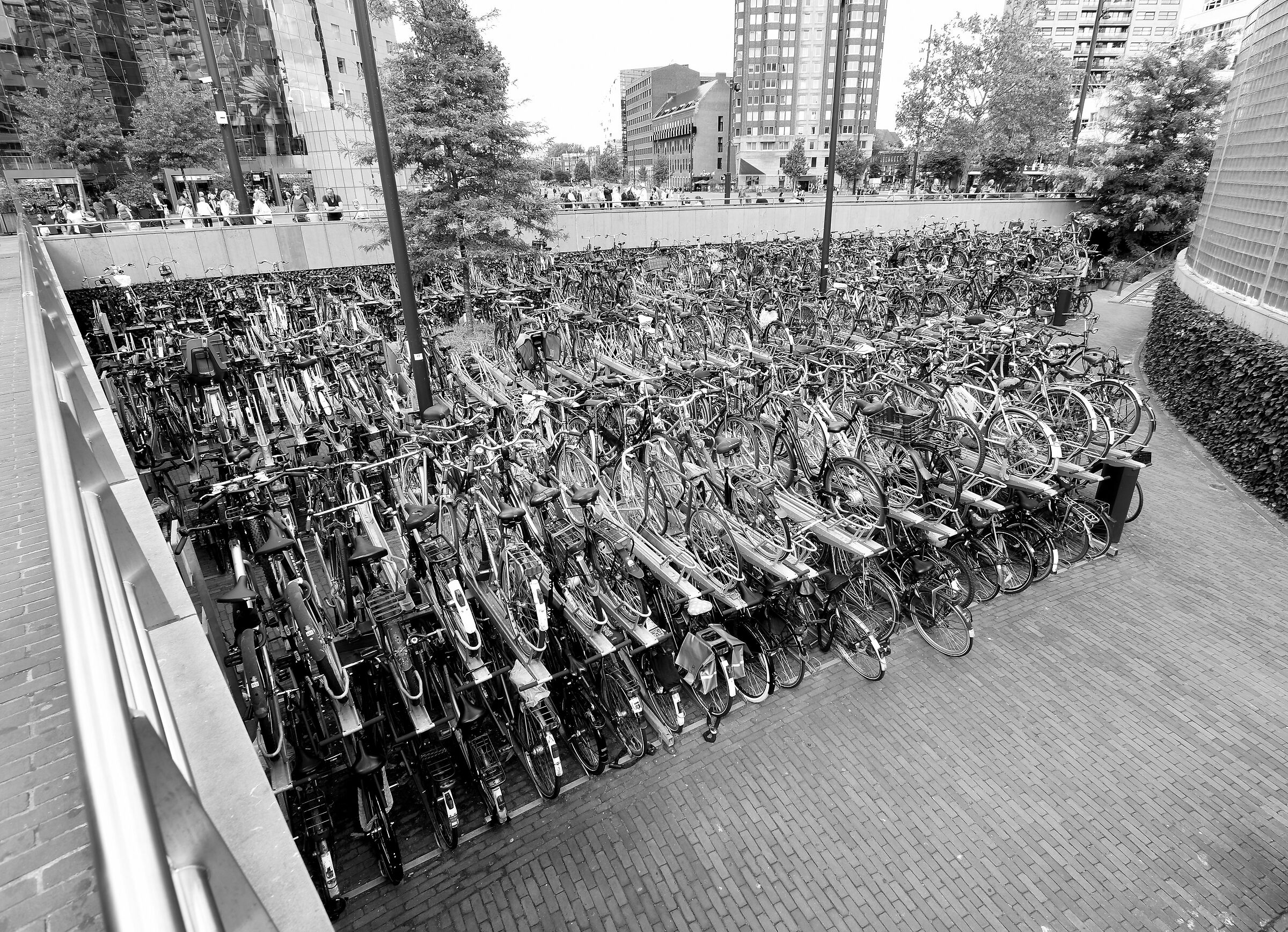 Parcheggiare in centro