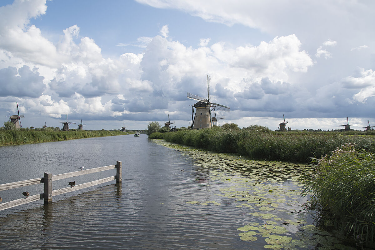 Kinderdijk