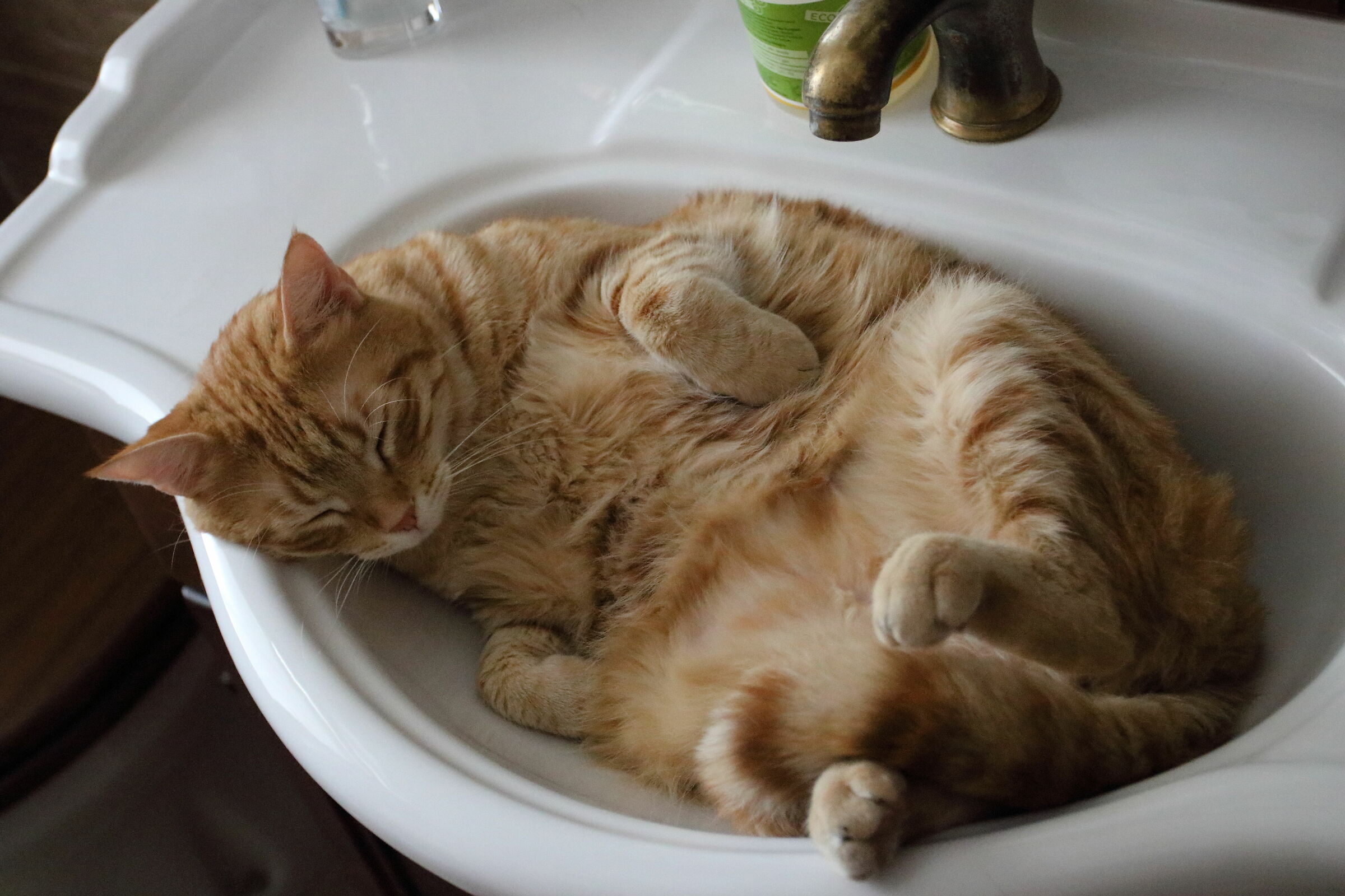 Qua dentro si sta decisamente freschi!!!