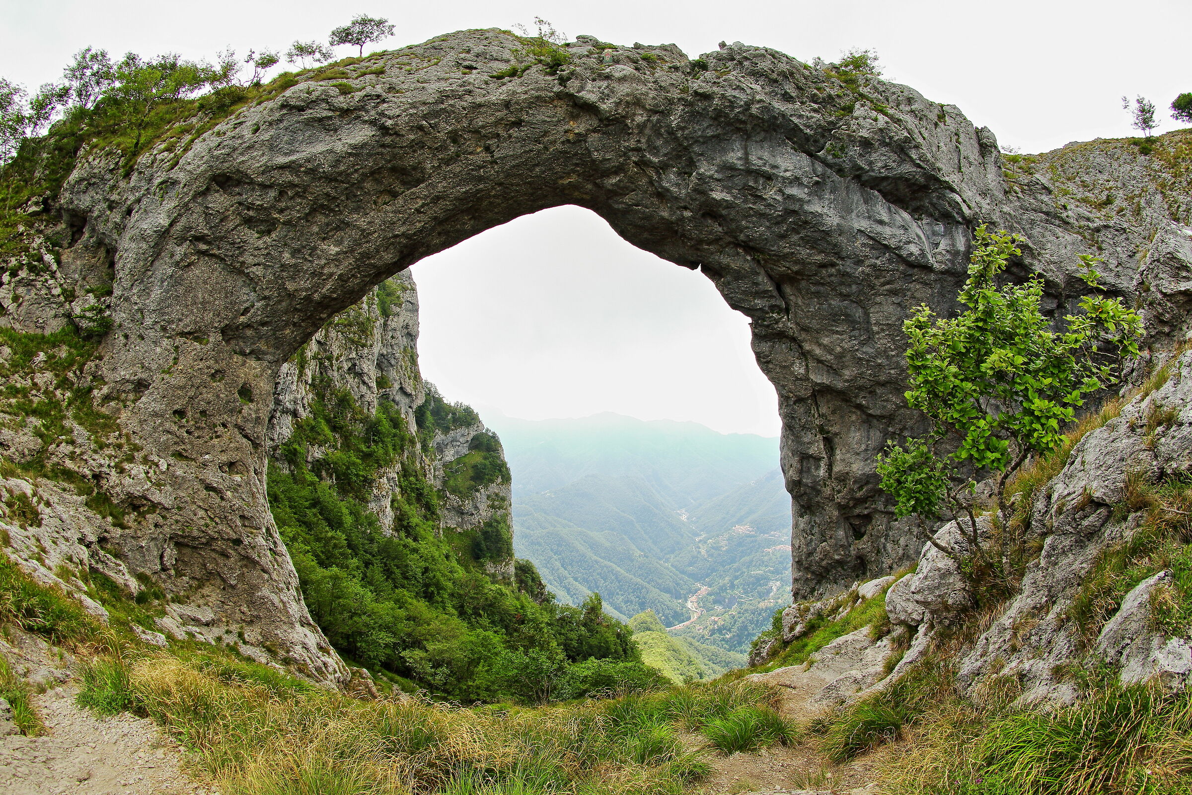 Monte Forato (Fornovolasco, Lucca)