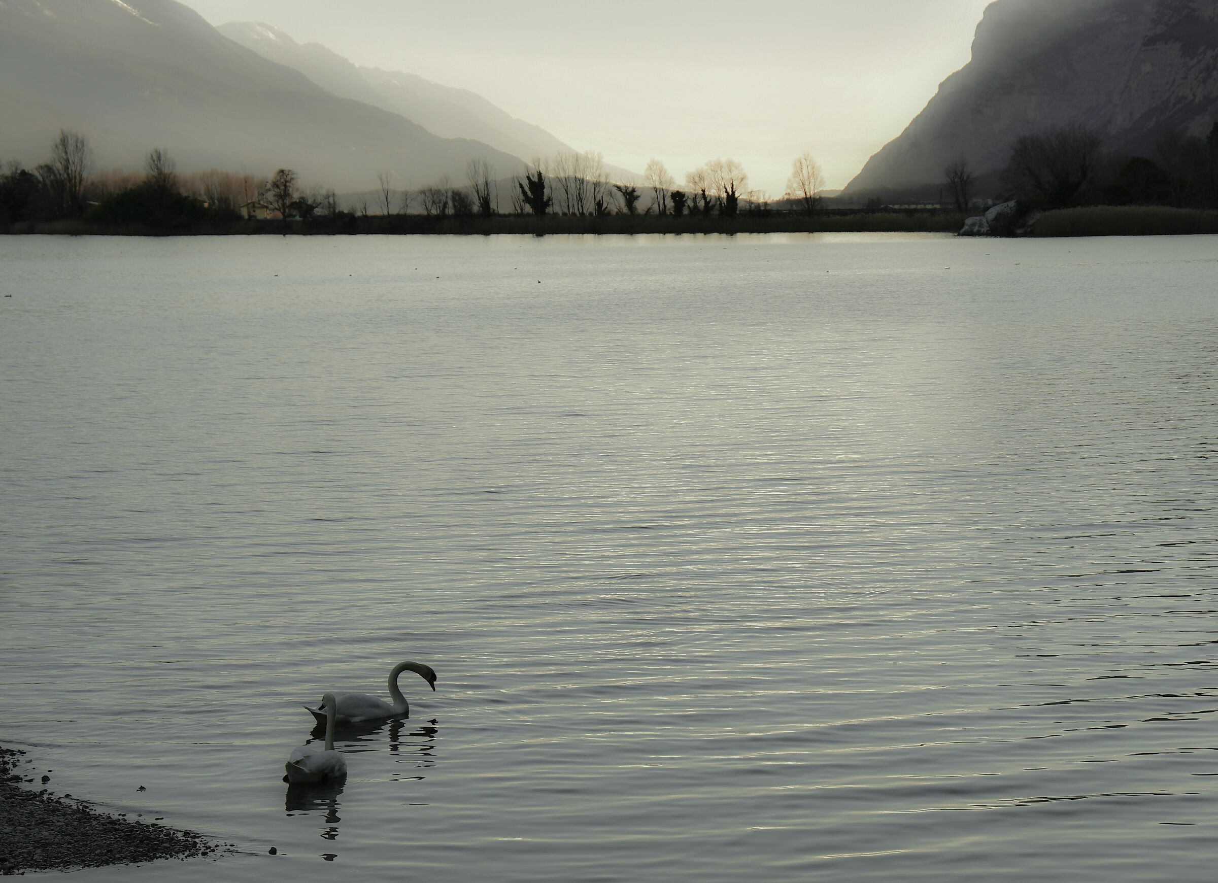 Dalle parti di Trento