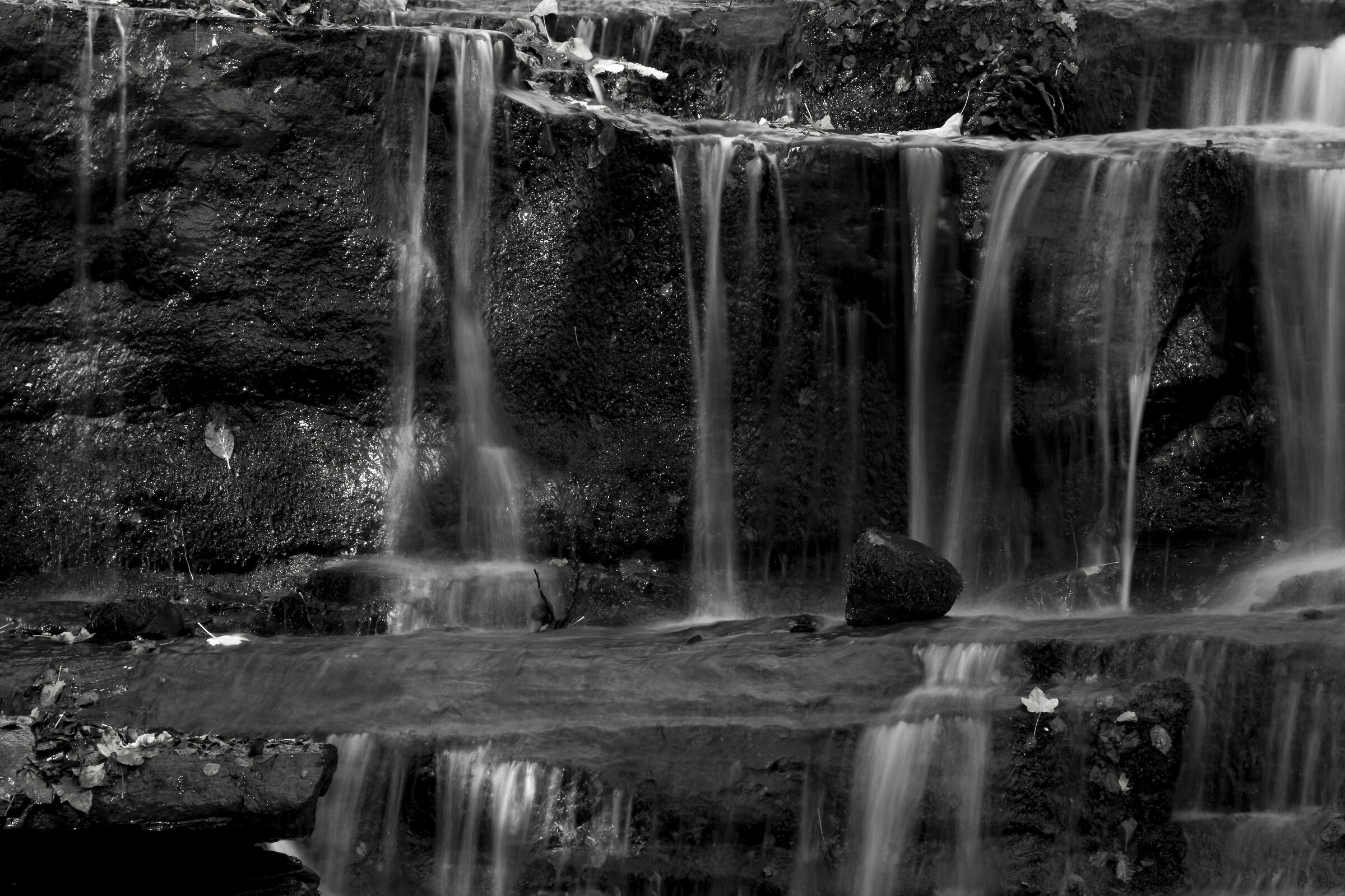 Waterfall in the woods
