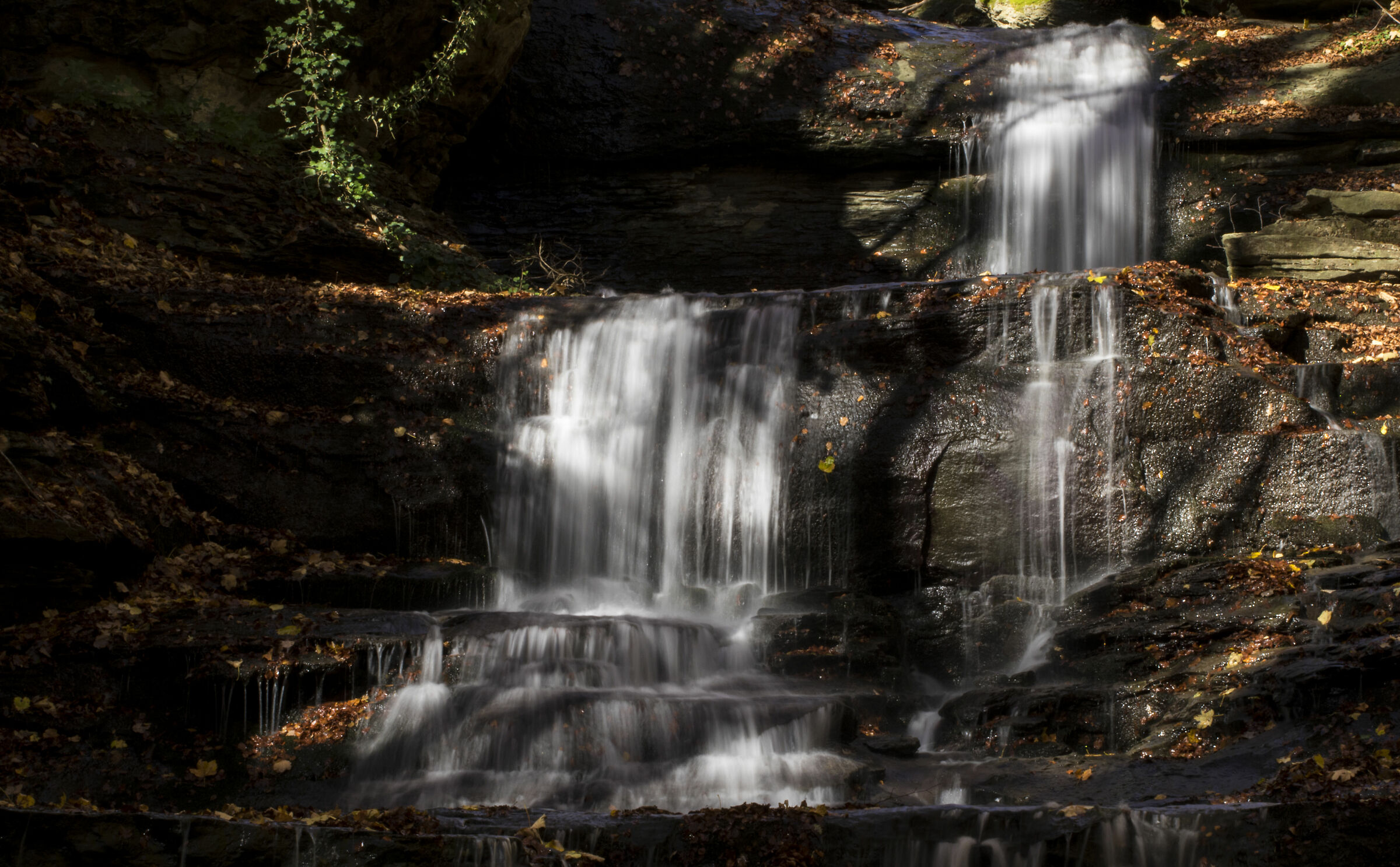 Waterfall in the woods