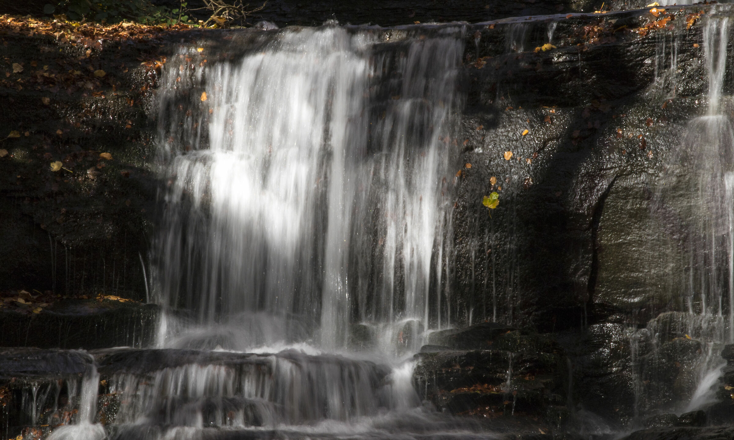 Waterfall in the woods