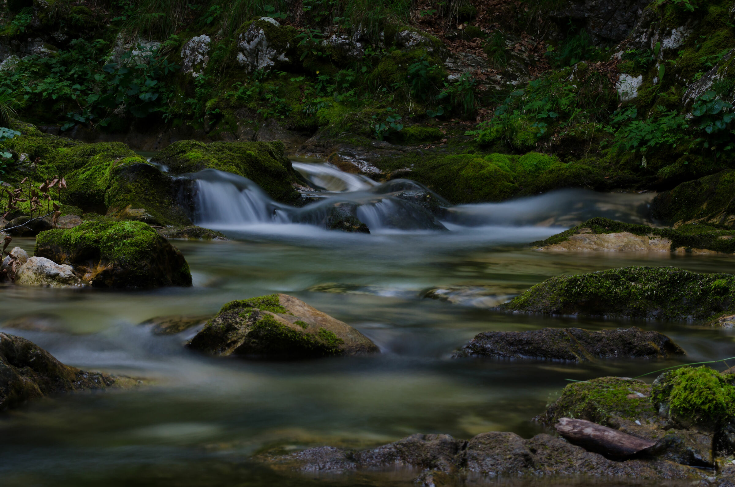 Viaggio per la Val d'Arzino