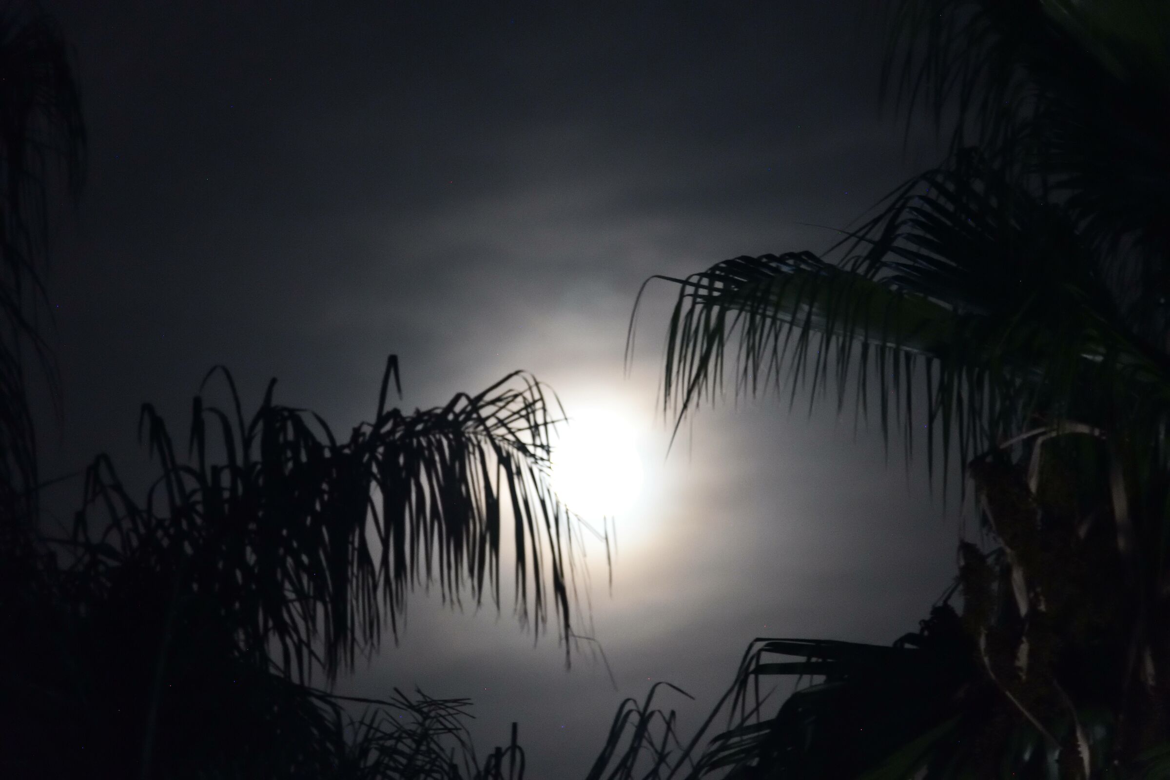 The Earth Before Man