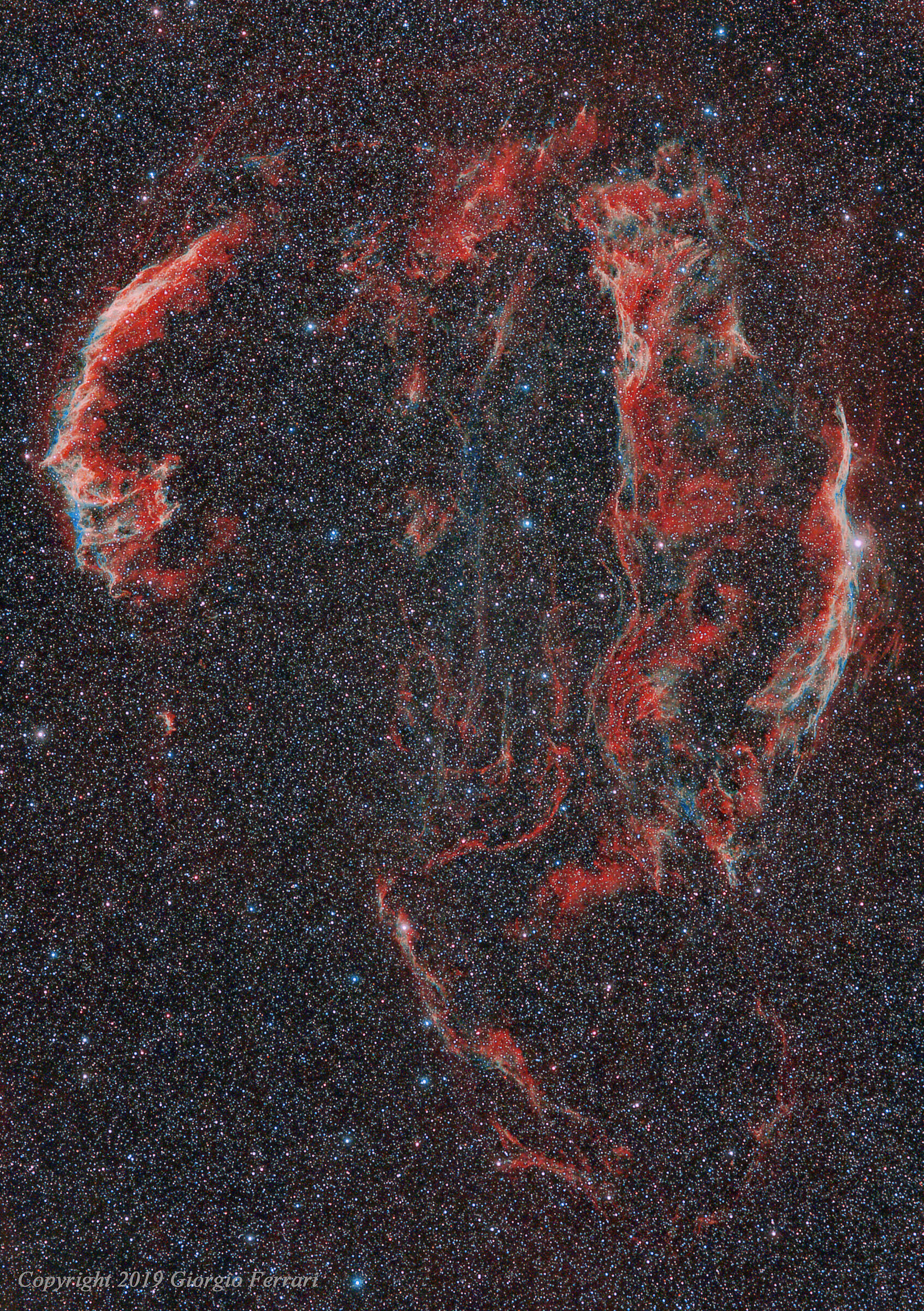 "Cygnus Loop" Velo Nebula