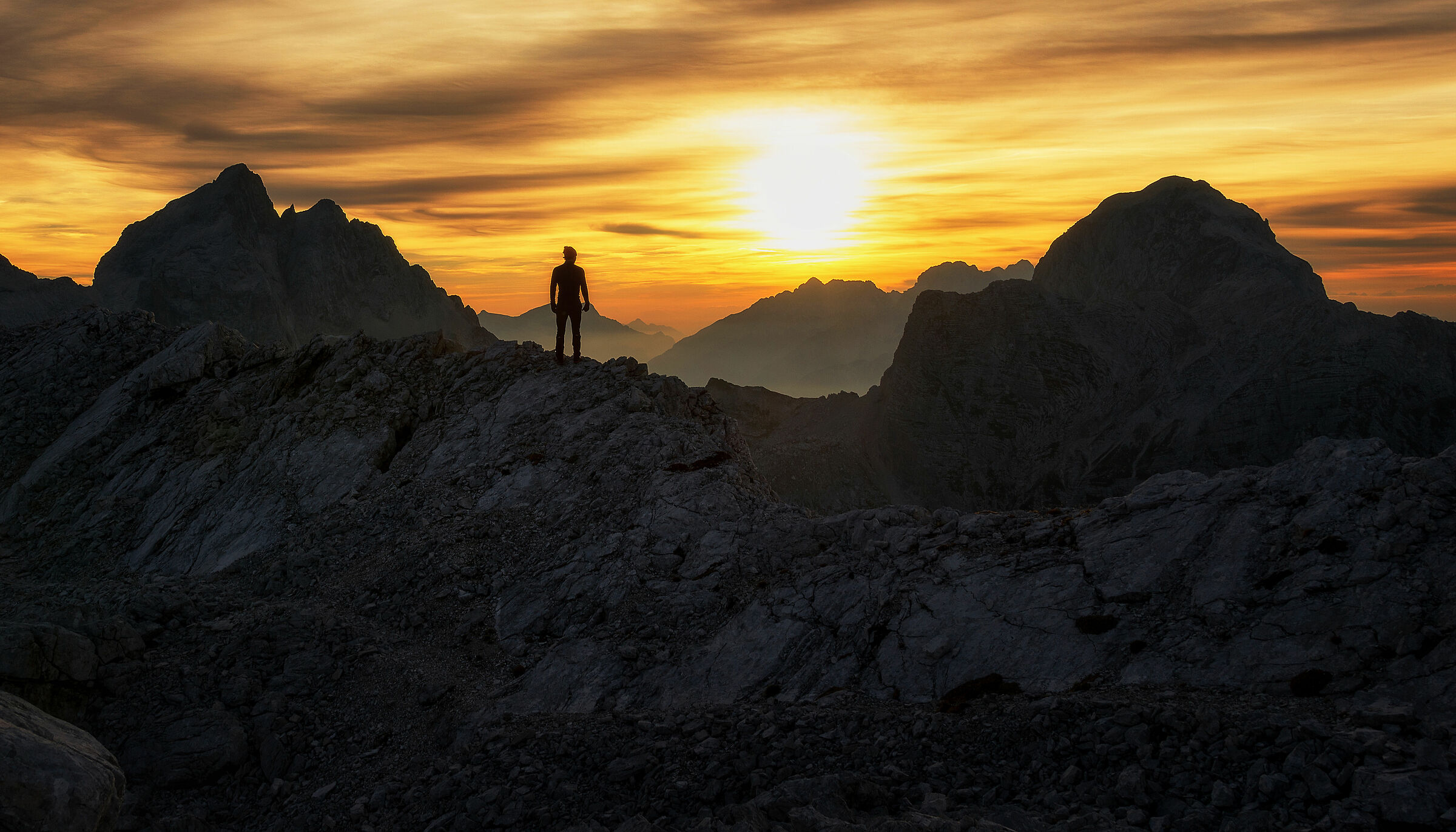 A visitor in the wilderness