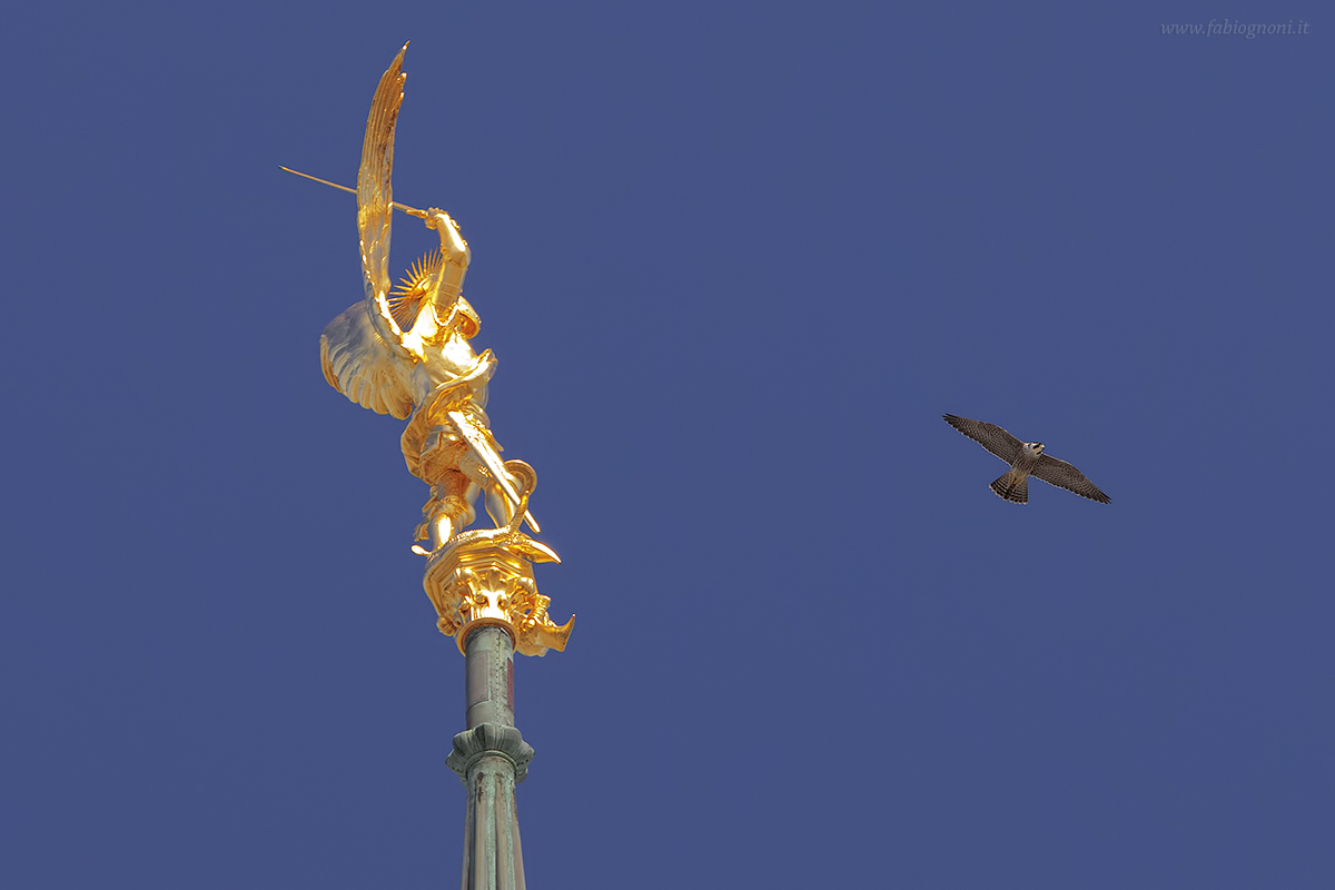 Pilgrim at Mont Saint Michel