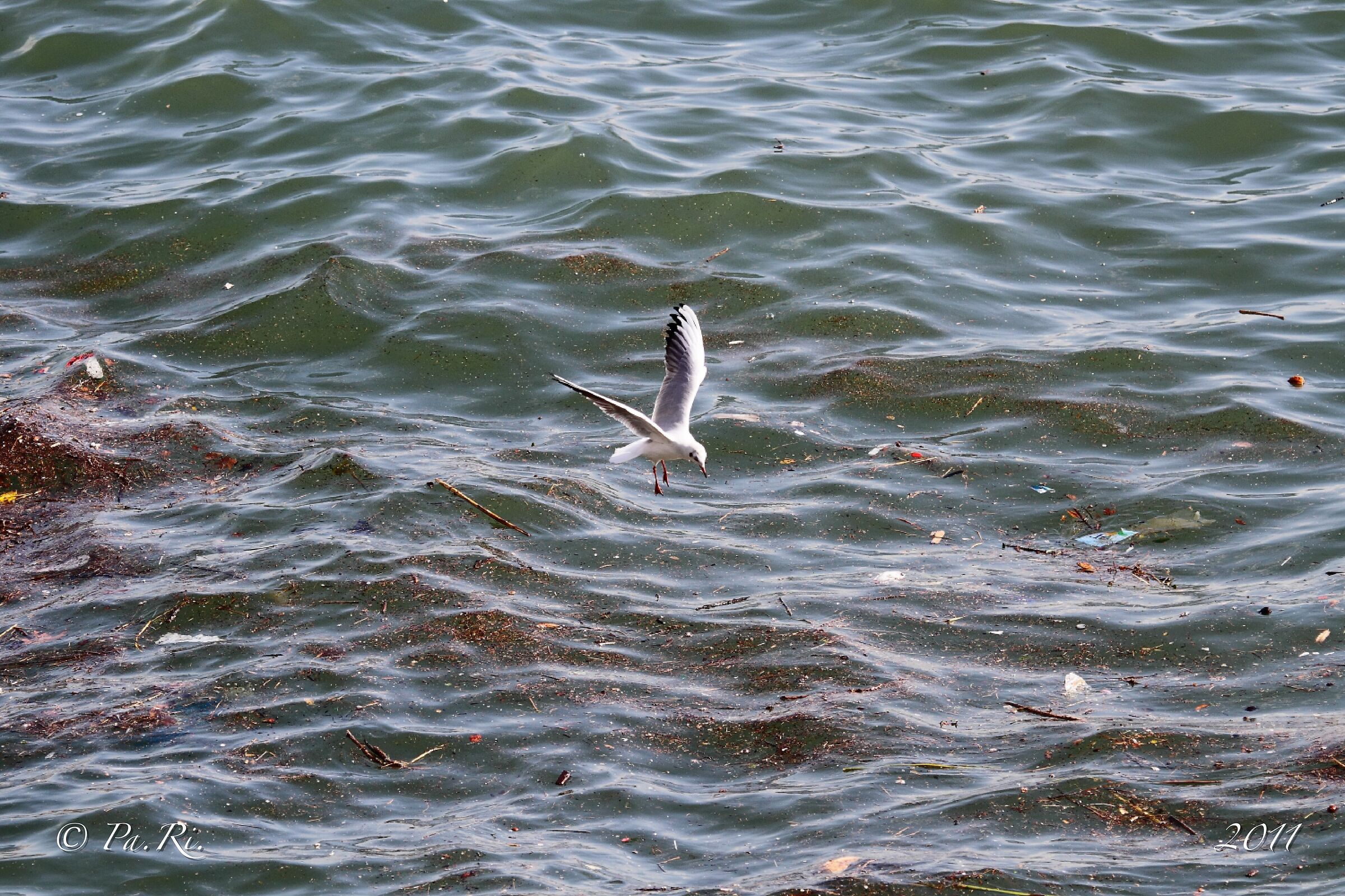 Fishing with effort.