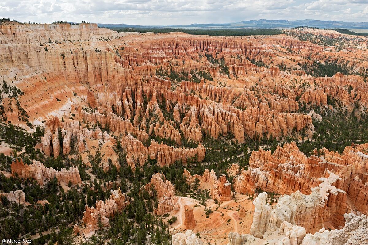 Bryce