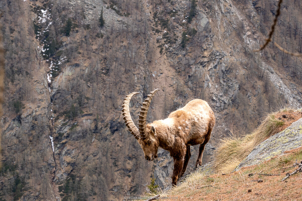 On the edge of the cliff