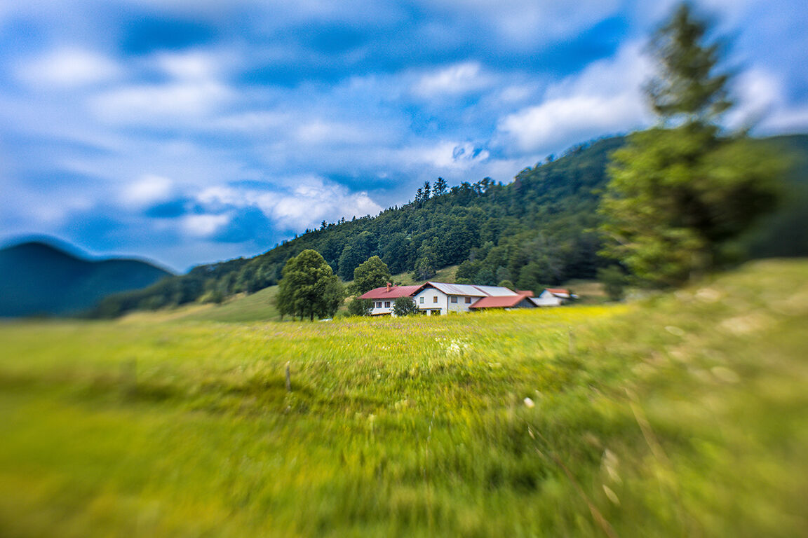 House at the edge of the woods