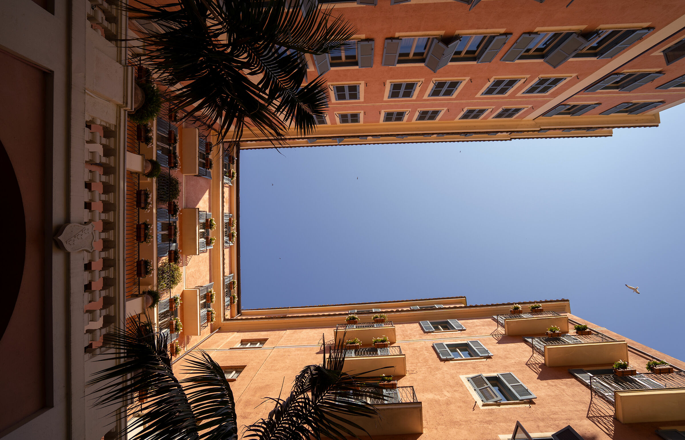 Looking Up, Above the DeRussie Hotel in Rome