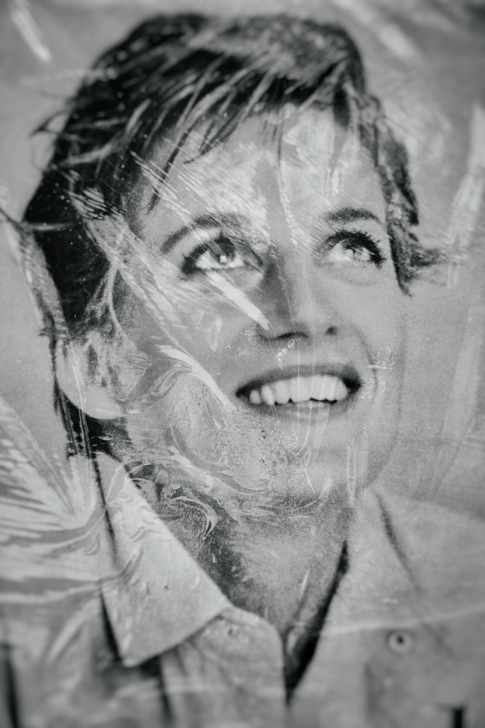 Portrait of Diana_shows in Venaria, behind cellophane