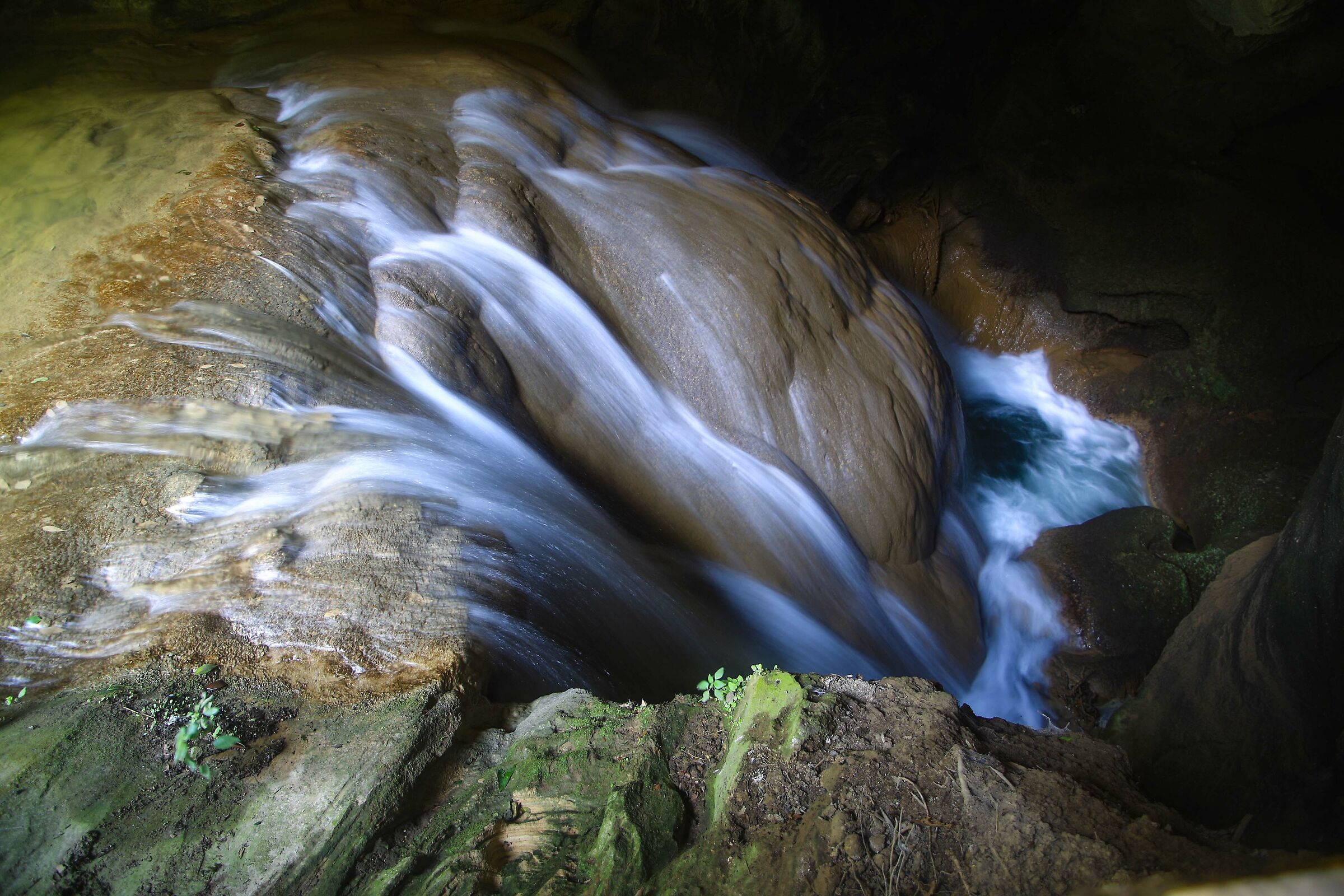 Particular Mermaid Cave