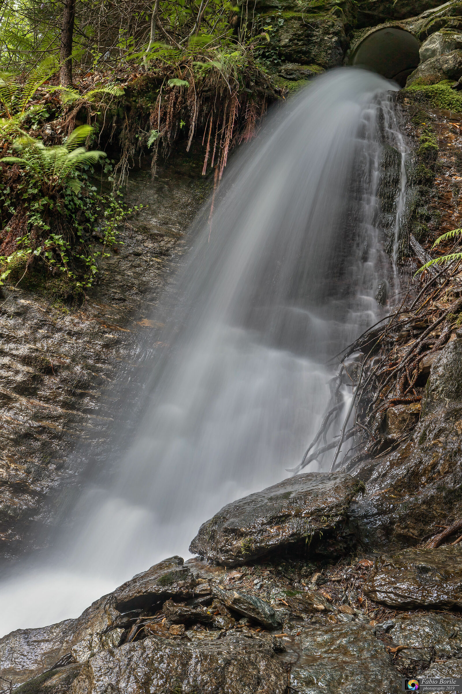 Cascata. Orridi di Uriezzo