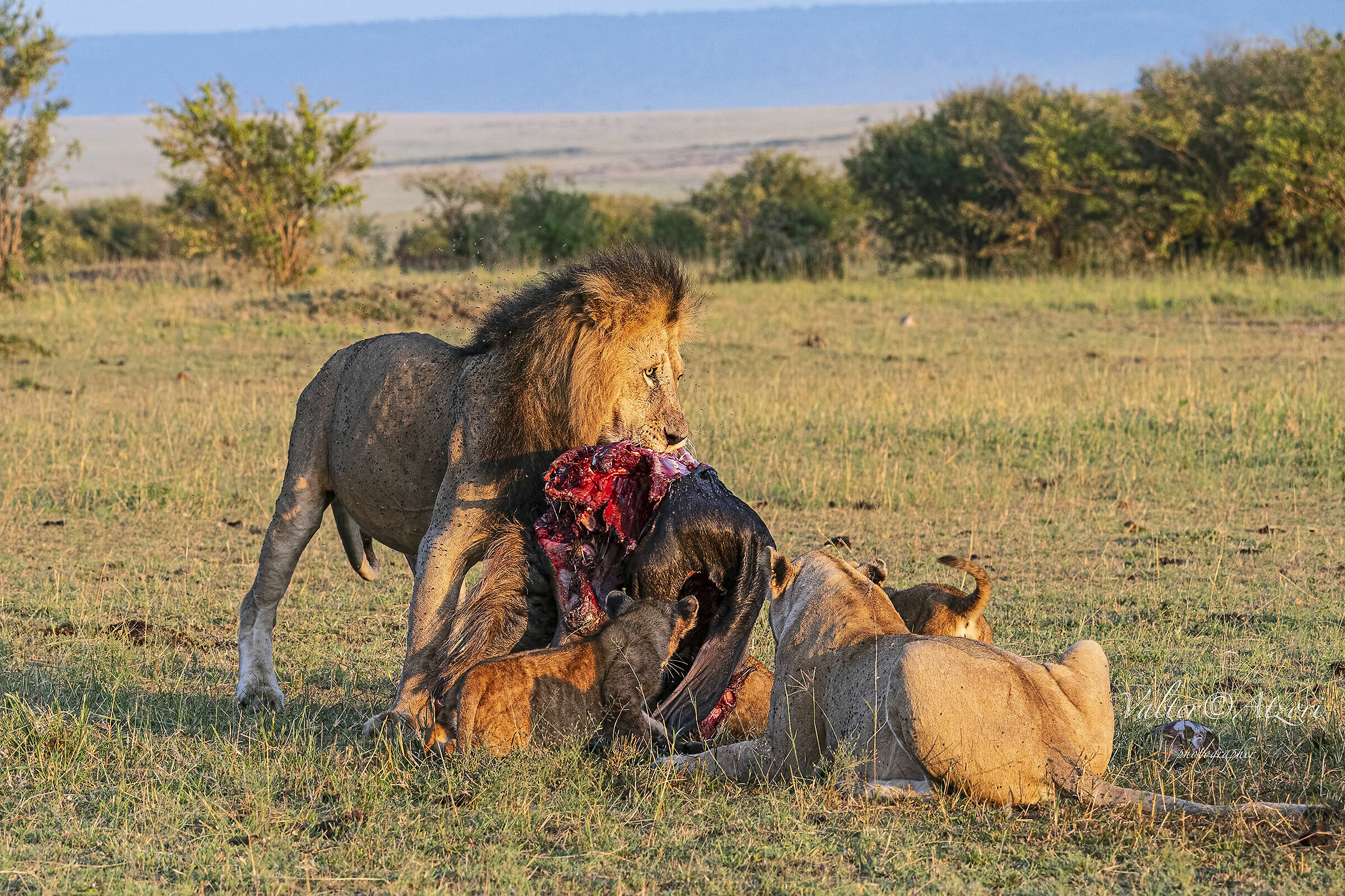 Family group at meal