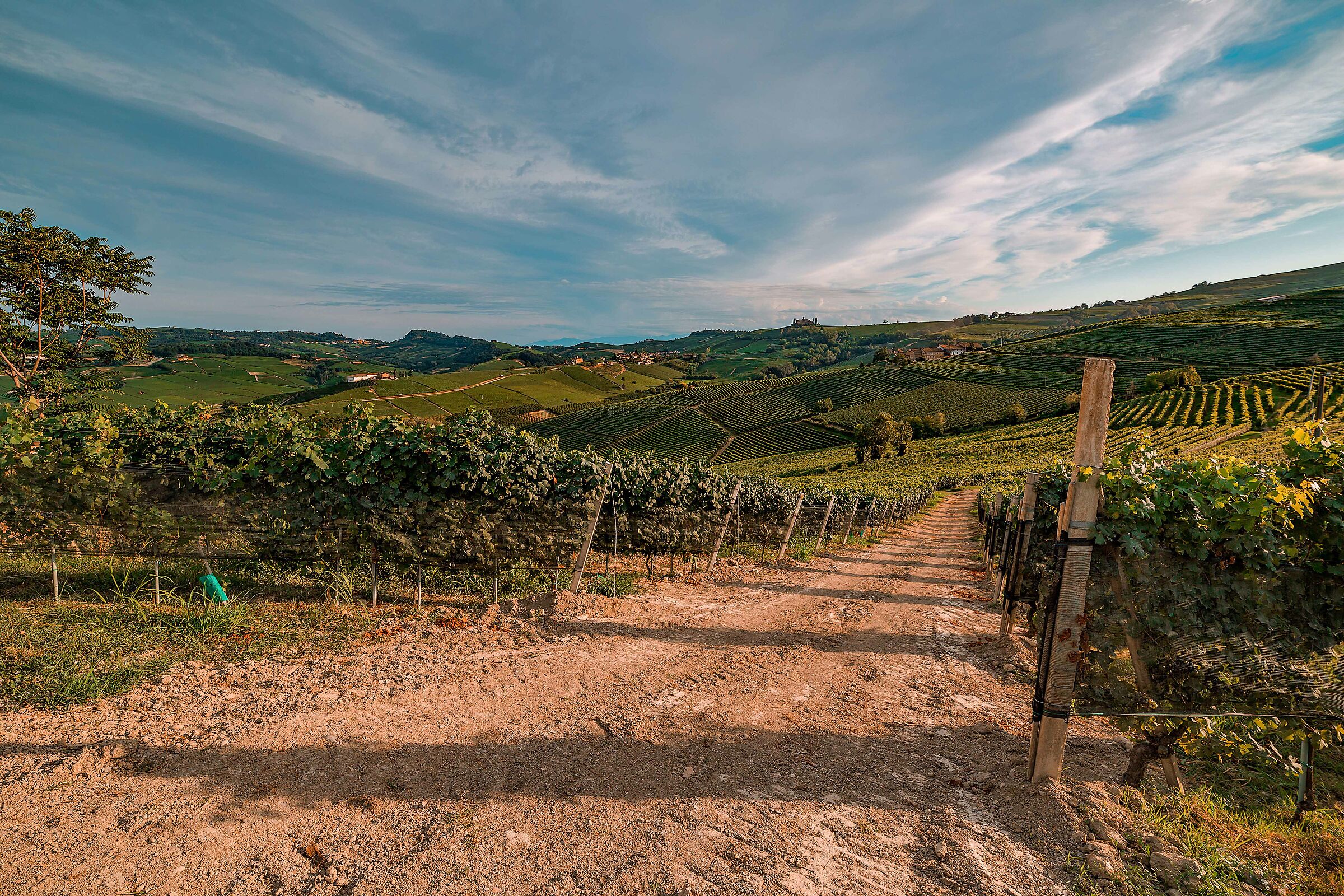 In the heart of the Langhe