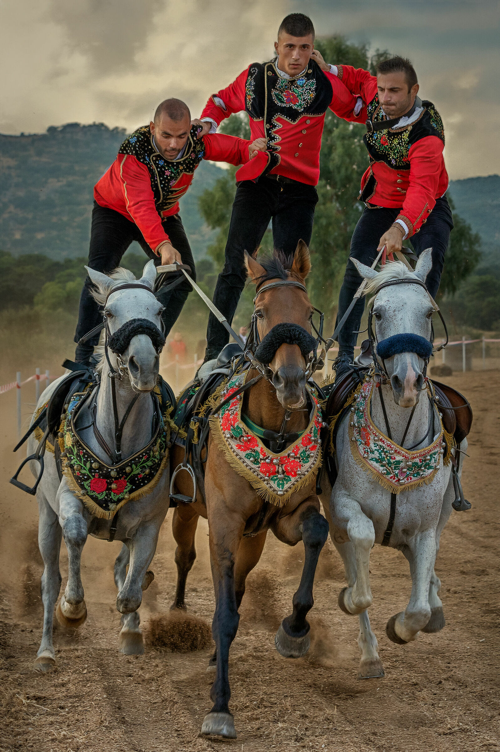 Horses and knights of Sardinia