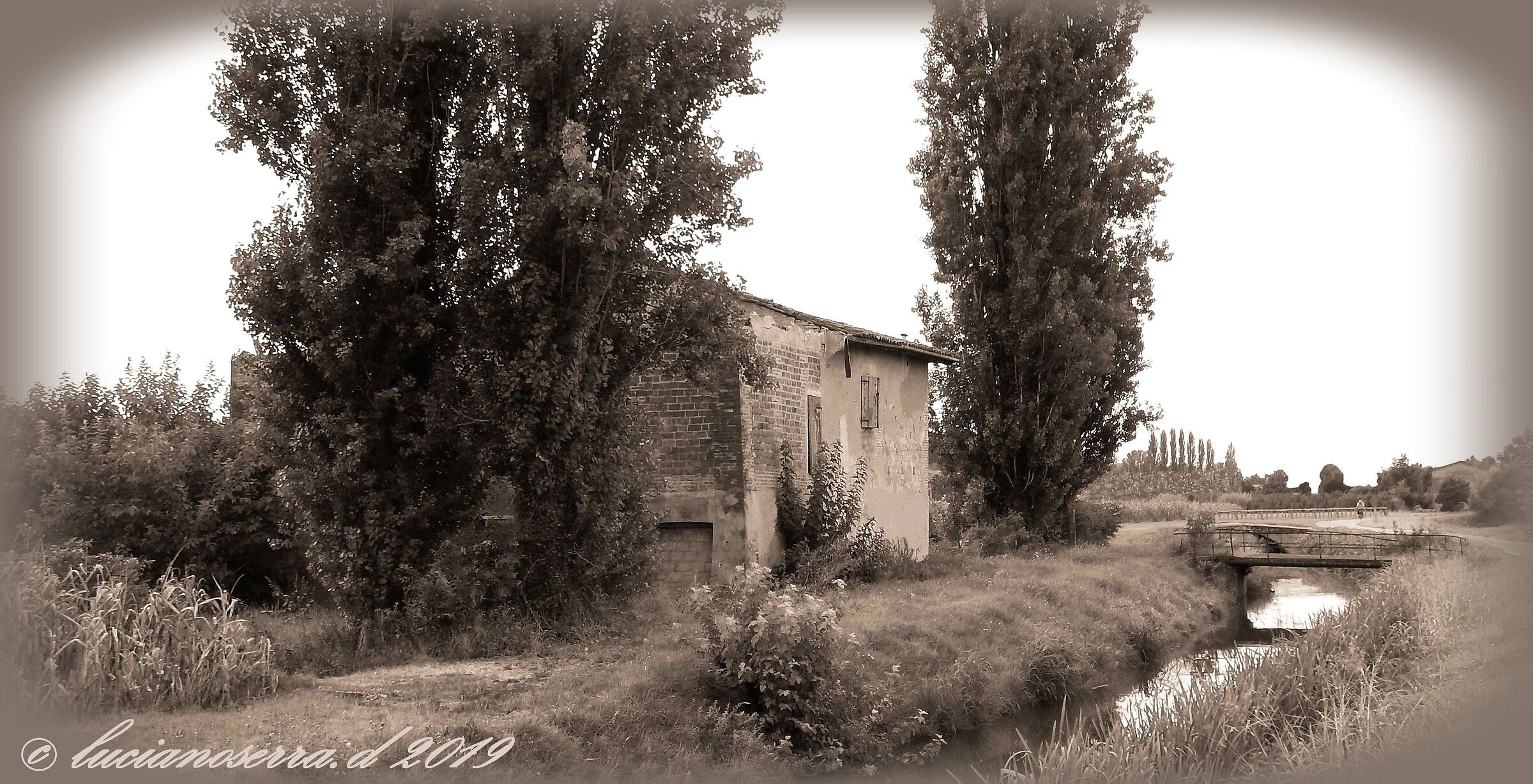 Il ciclista... lontano... lontano...