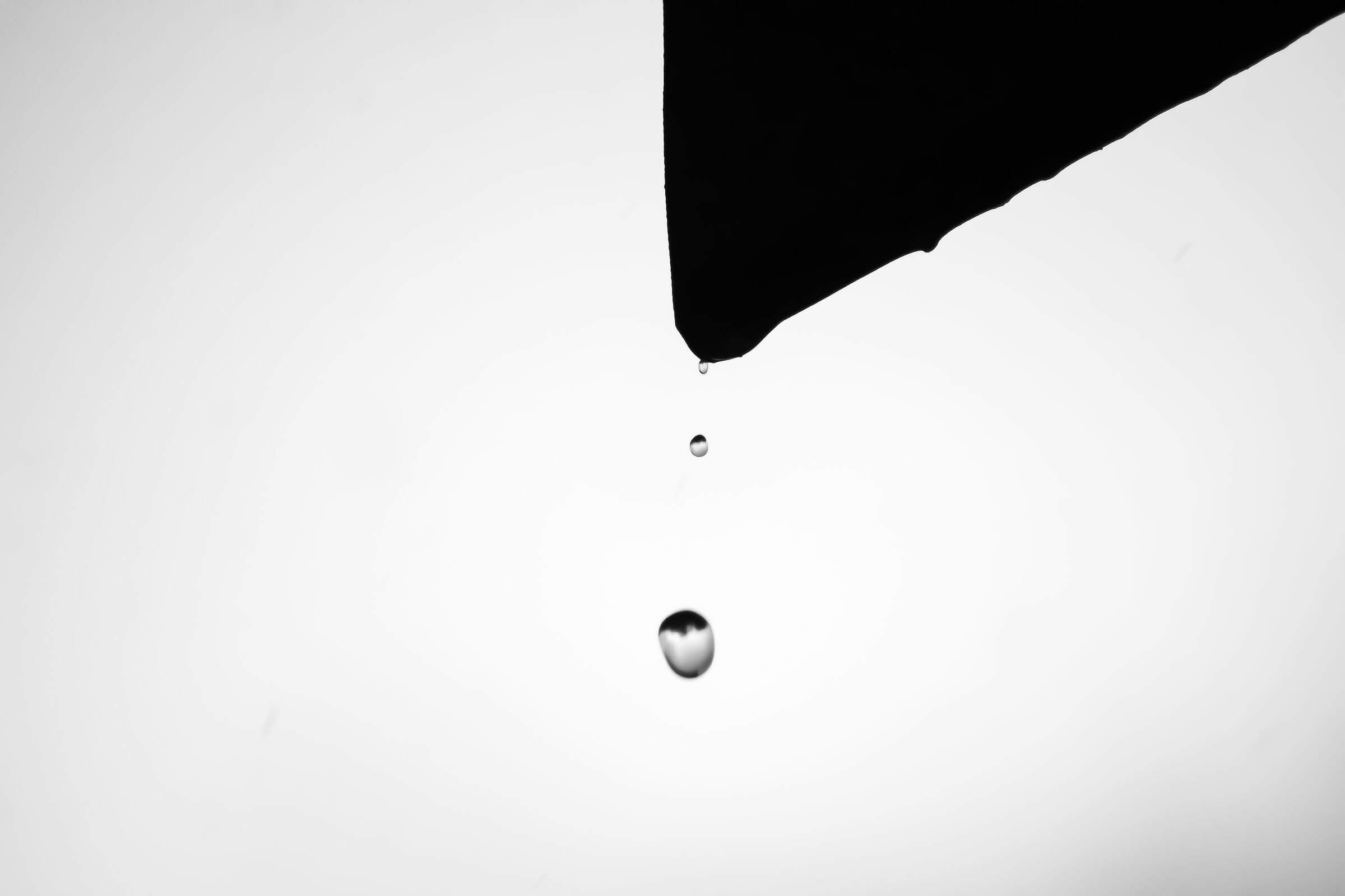 Drops after the storm...