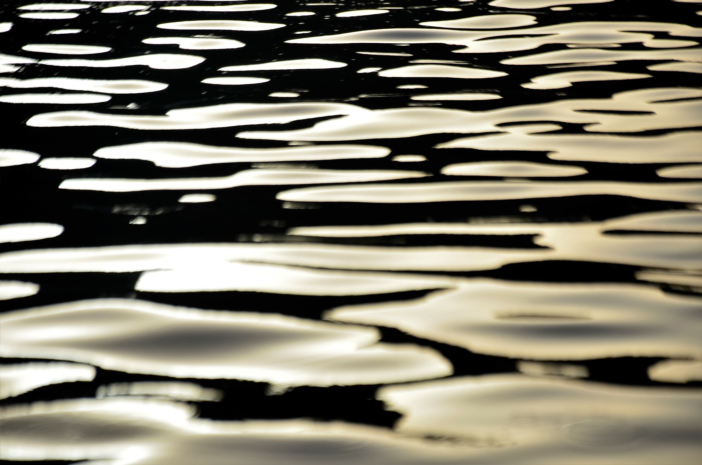 Reflections on Water