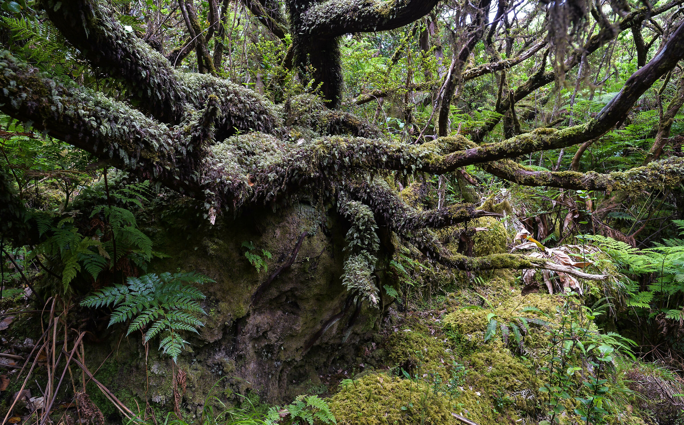 Terceira, Misterios Negros 2
