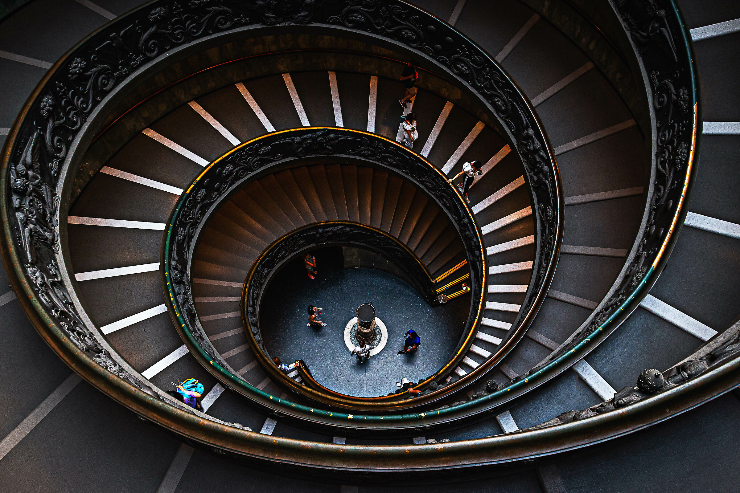 The ladder... of life...