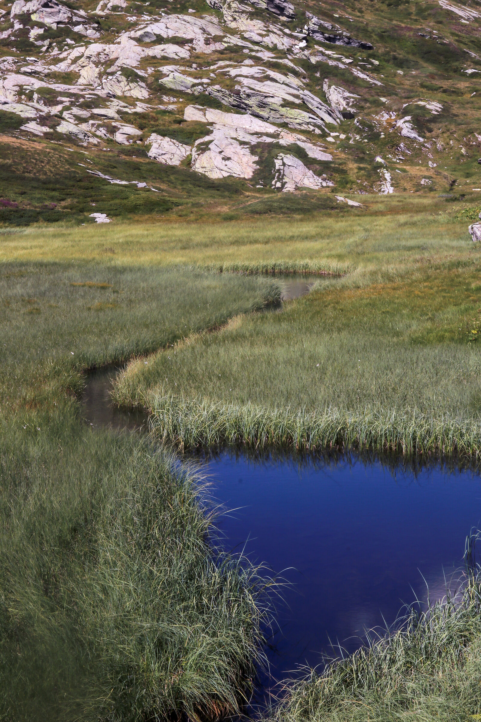 Passo del San Bernardino