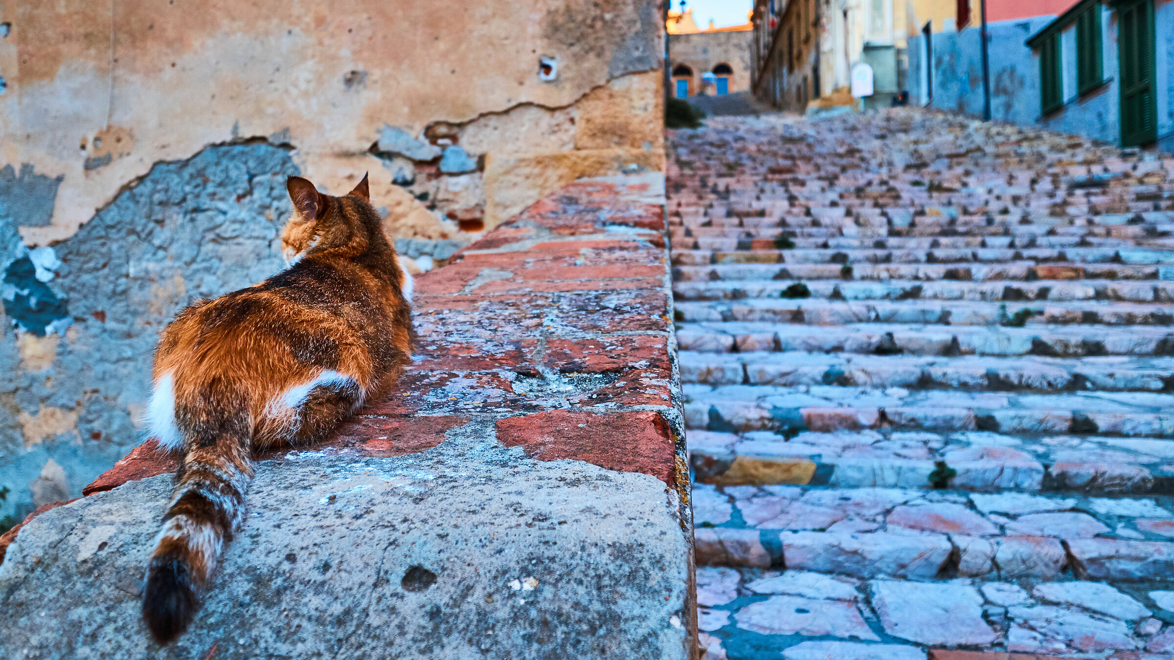 Standing in the middle