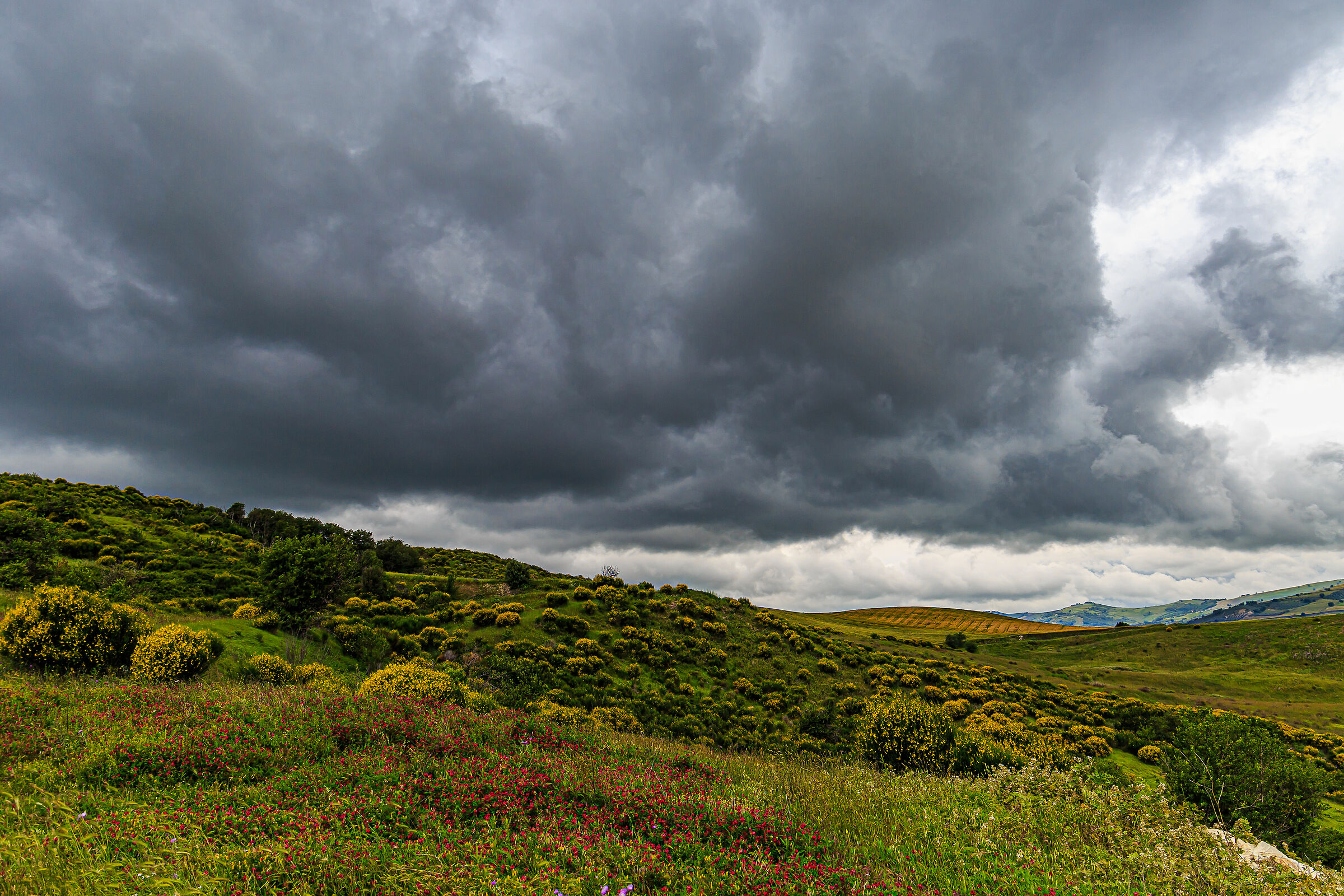 Late spring in Molise