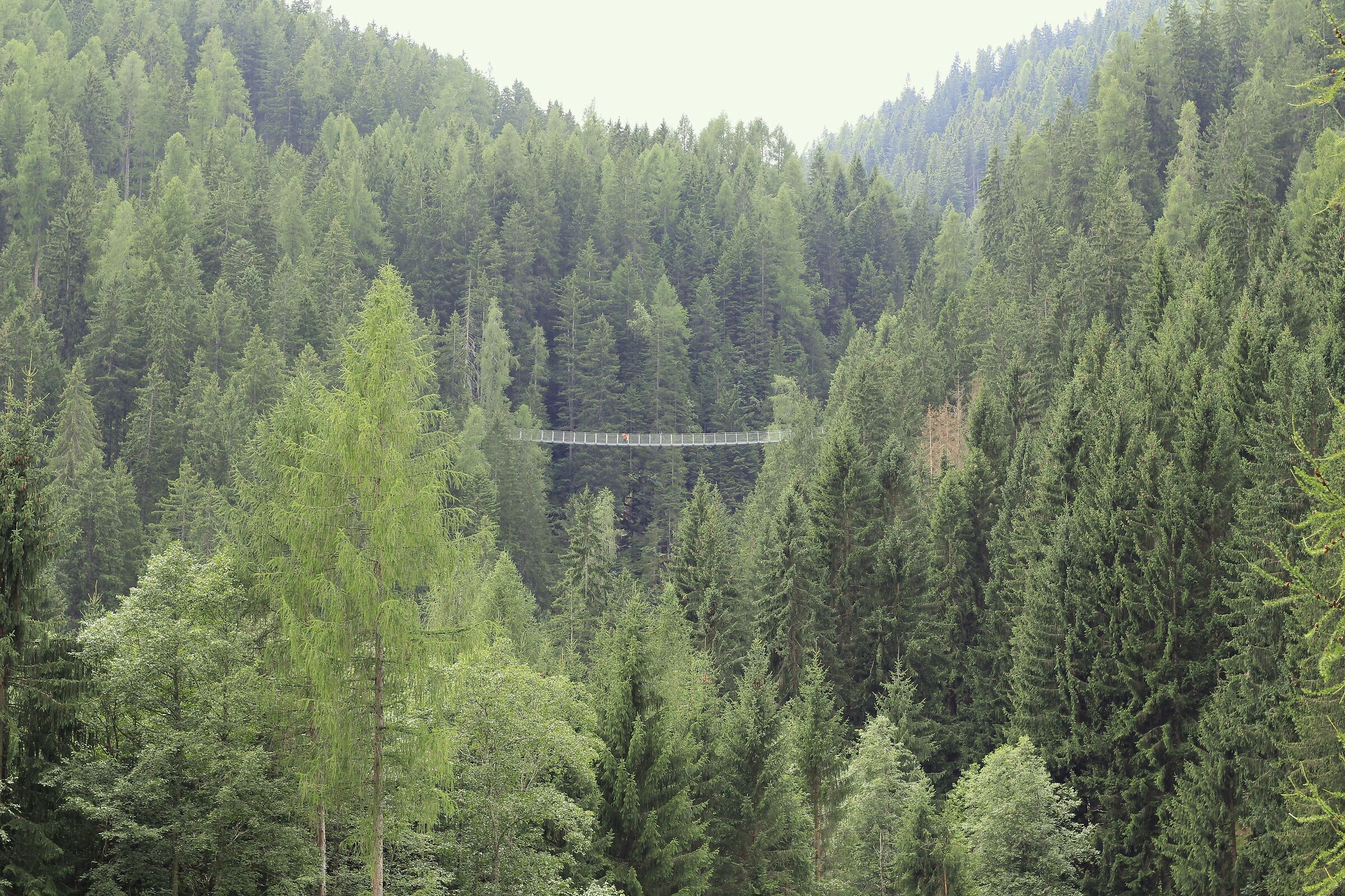 Suspended in a vacuum