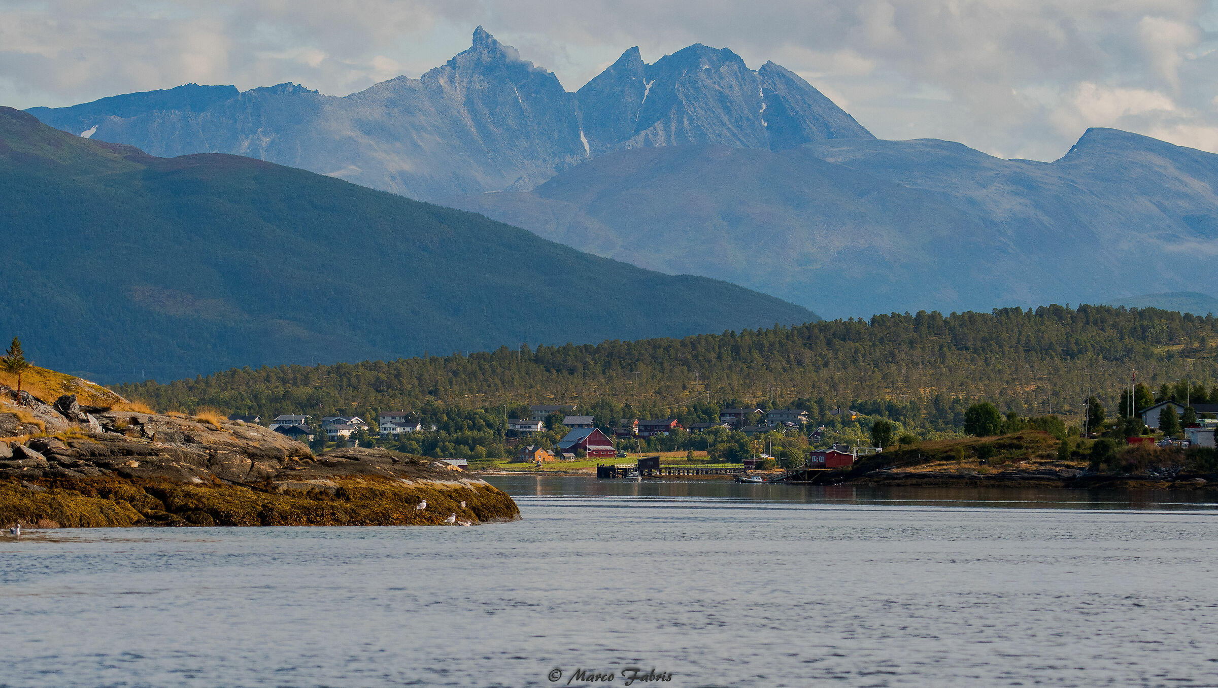 In the surroundings of Trump