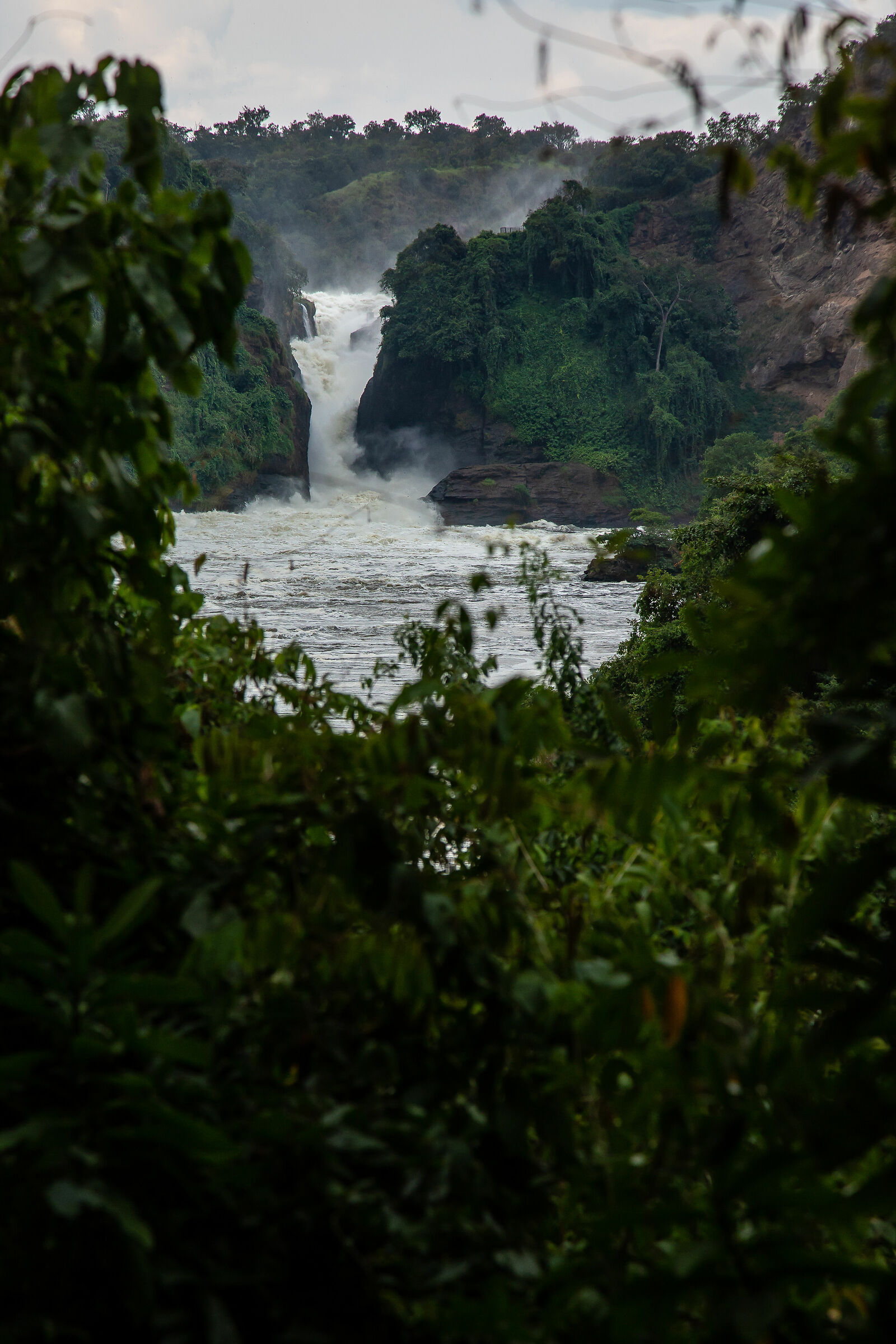 Uno scorcio delle Murchison Falls