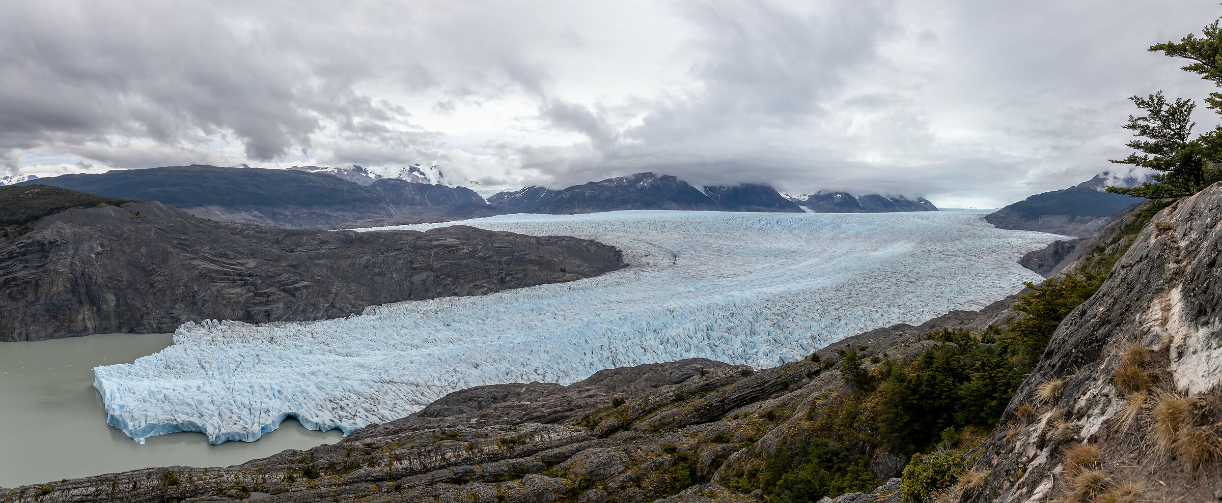 Hielo patagonico