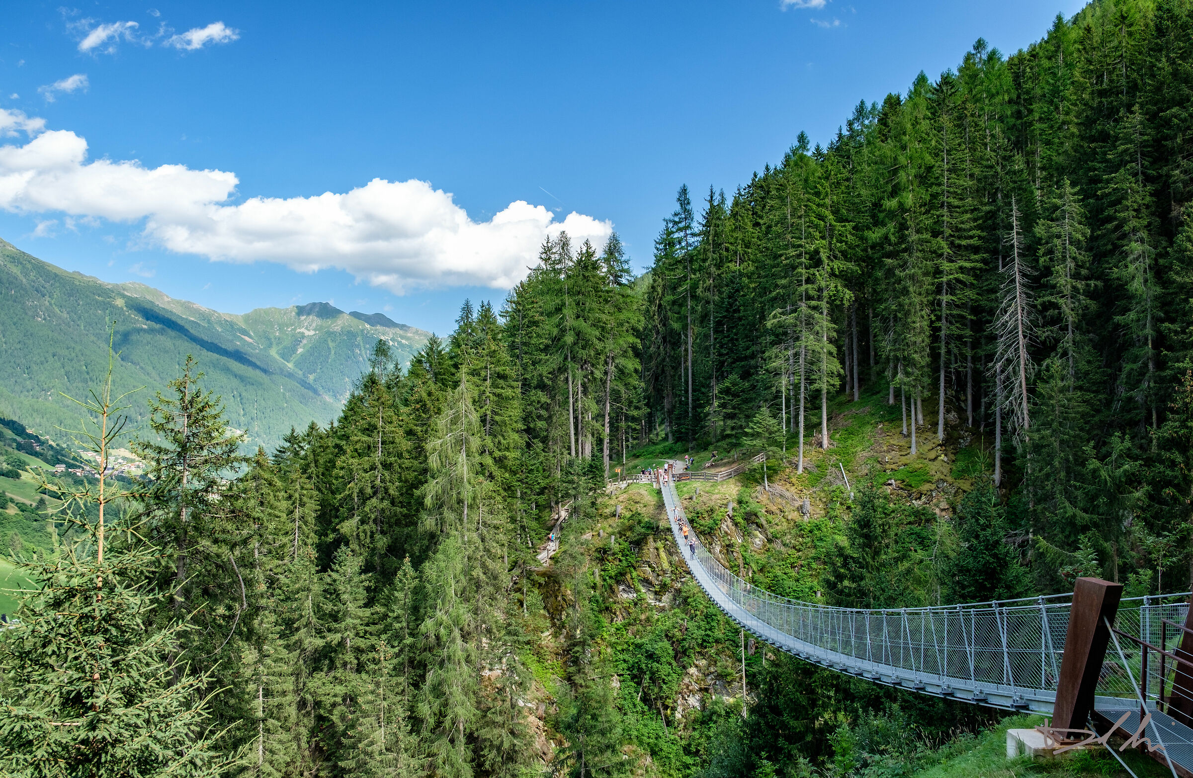 Val di Rabbi - Ponte sospeso1