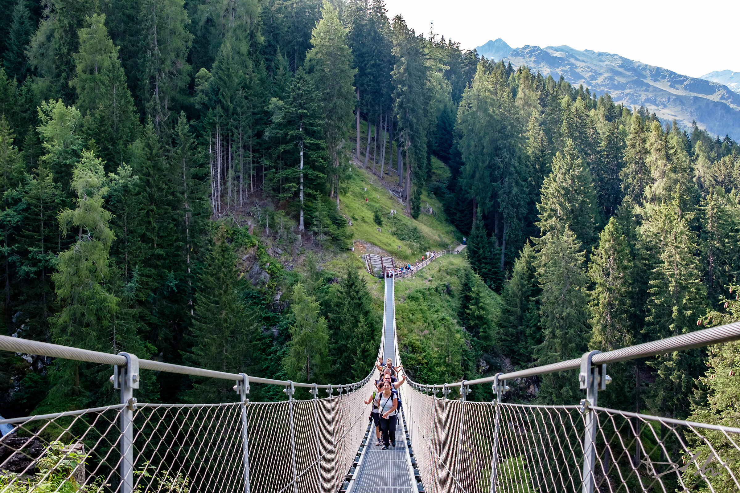 Val di Rabbi - Ponte sospeso2