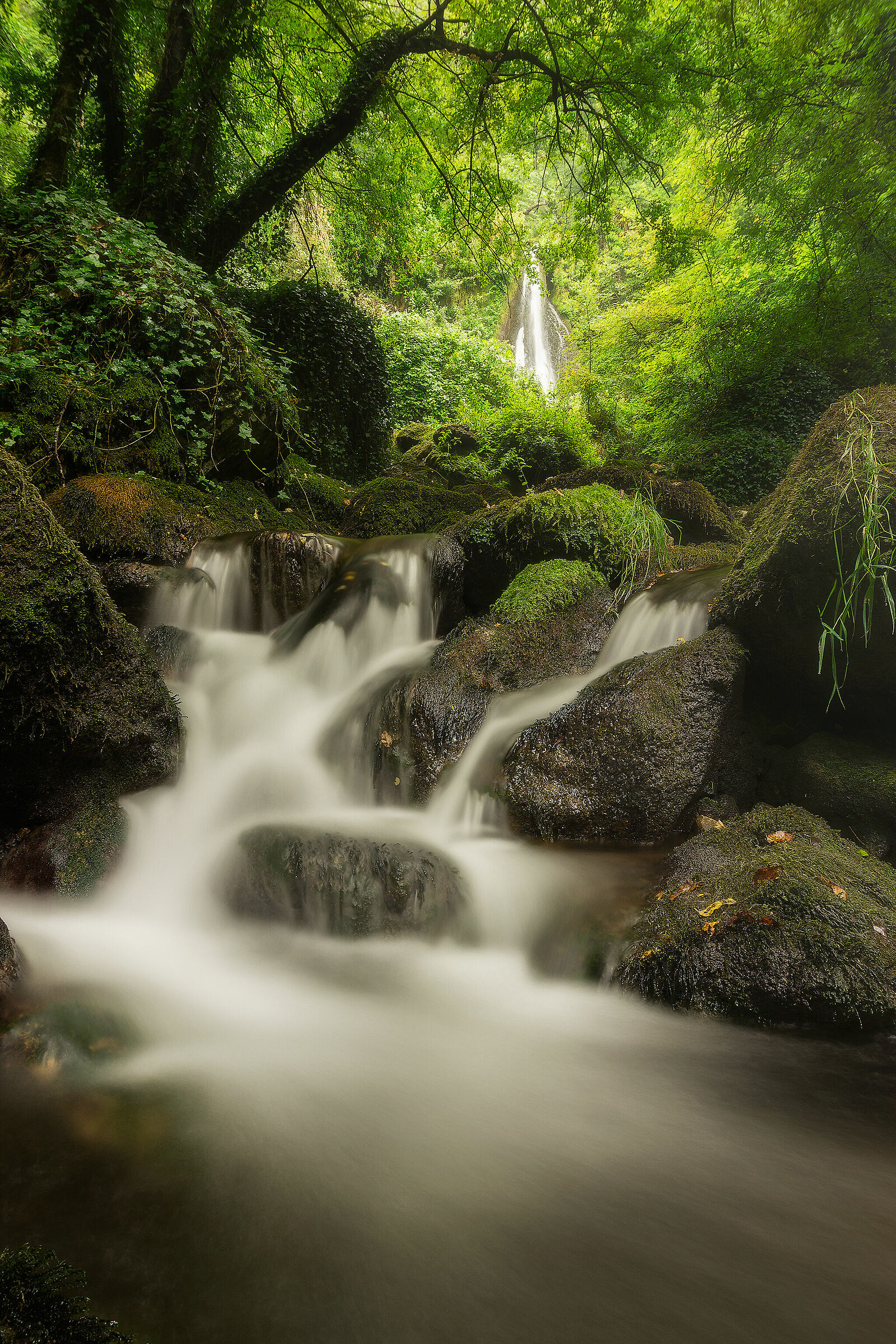 il rifugio degli Elfi