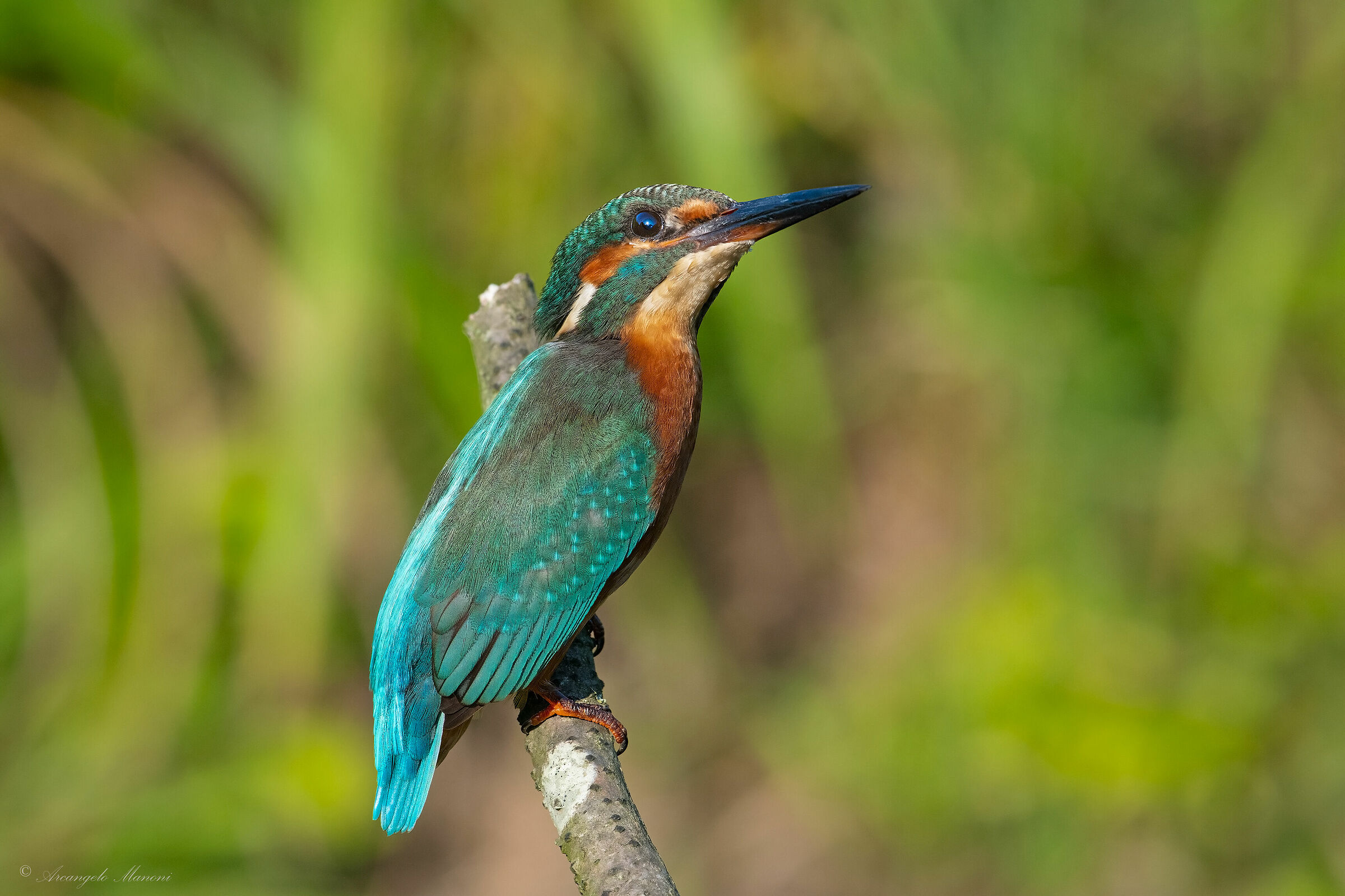 The sky in your eyes