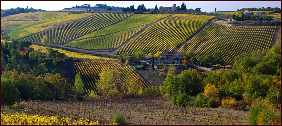 La collina dei vigneti