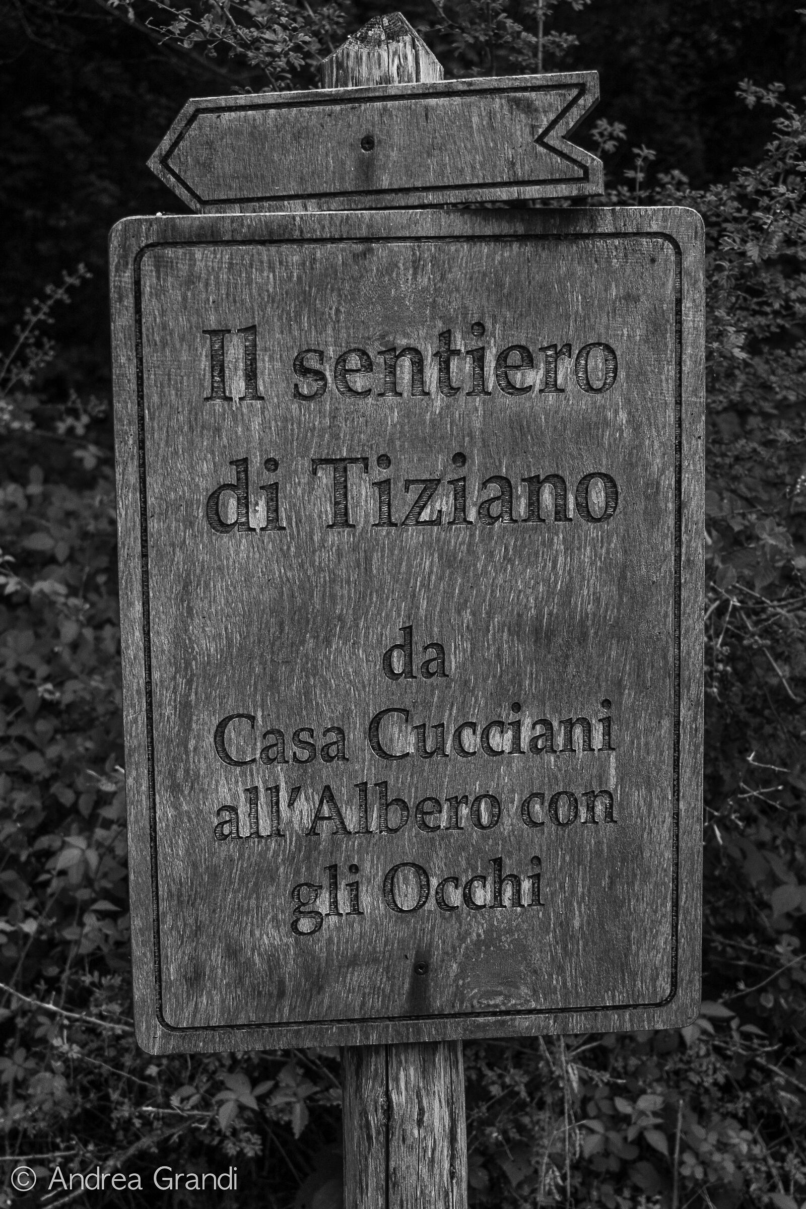 The Path of Titian Terzani