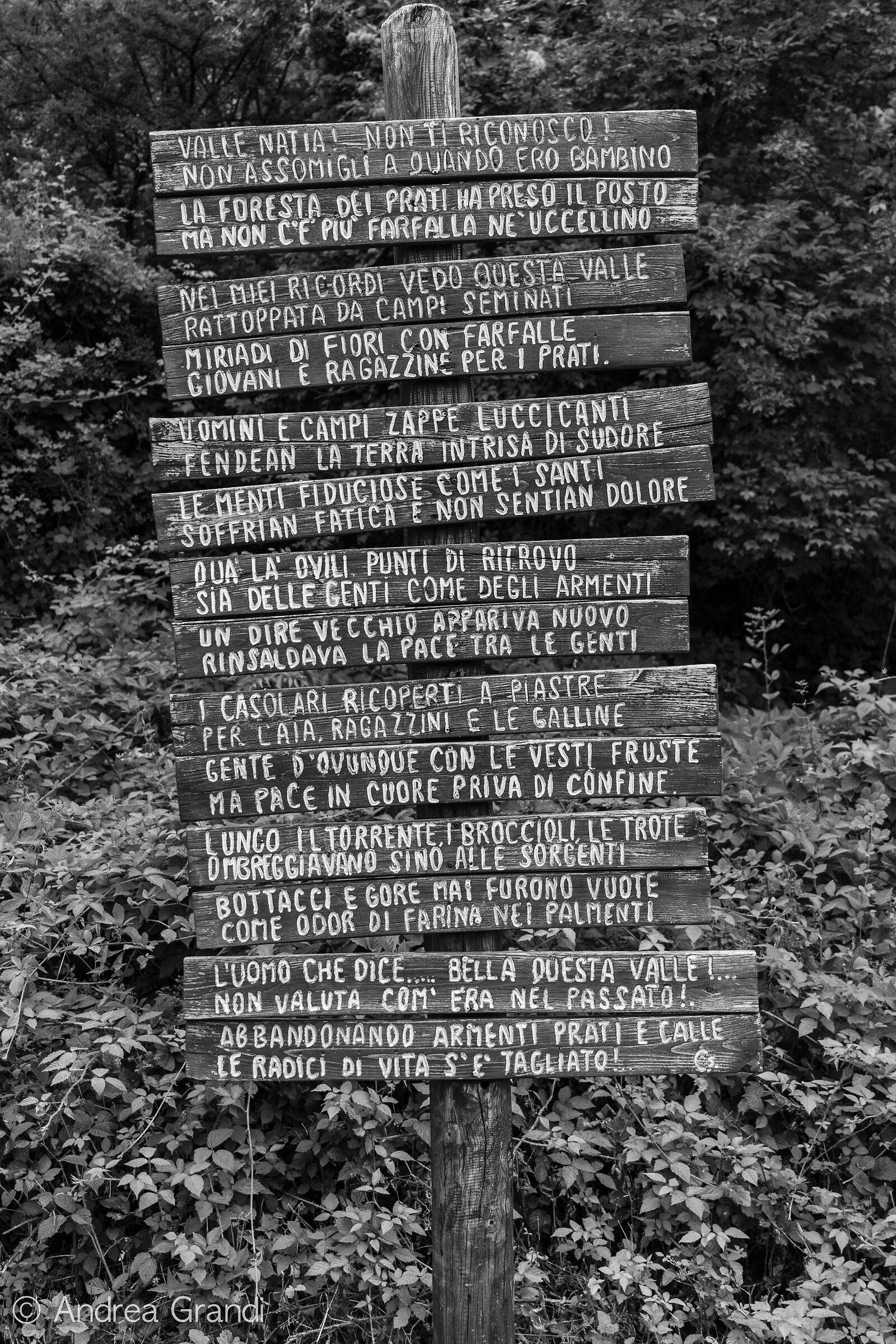 Introduction to the path of Titian Terzani