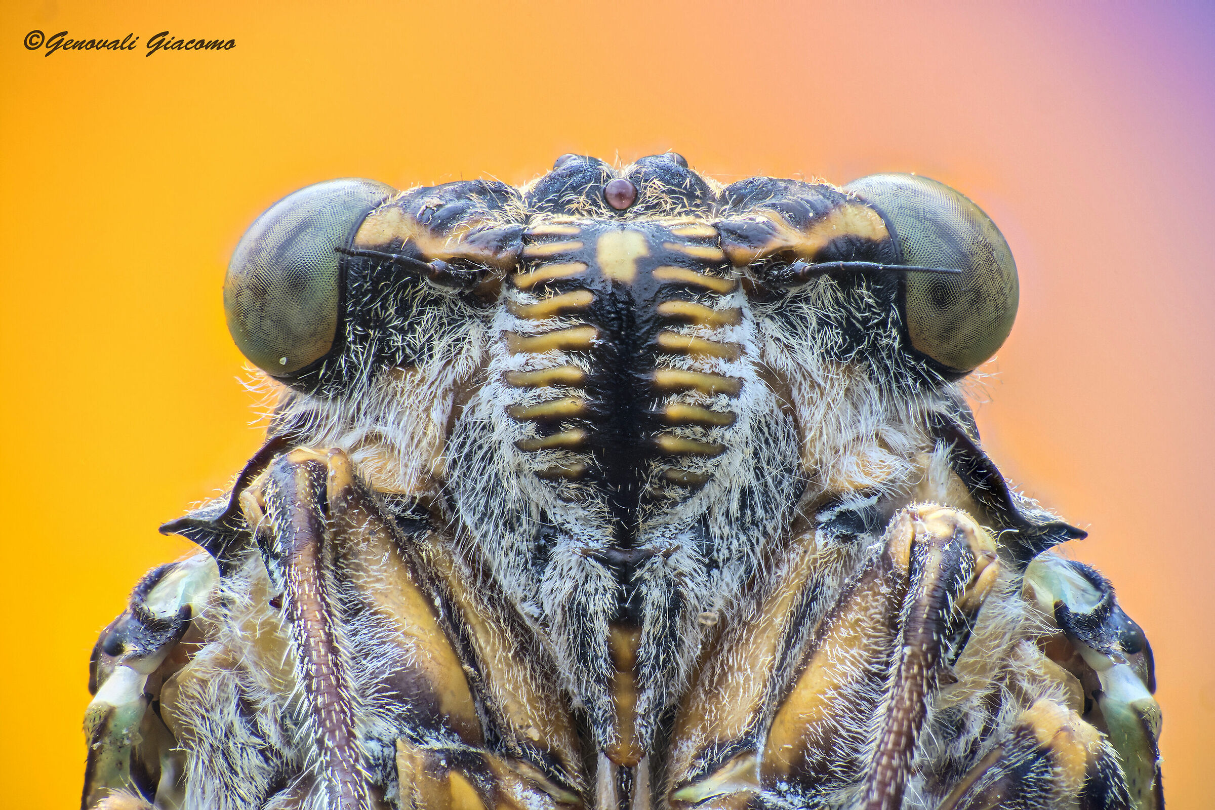 even with little you can