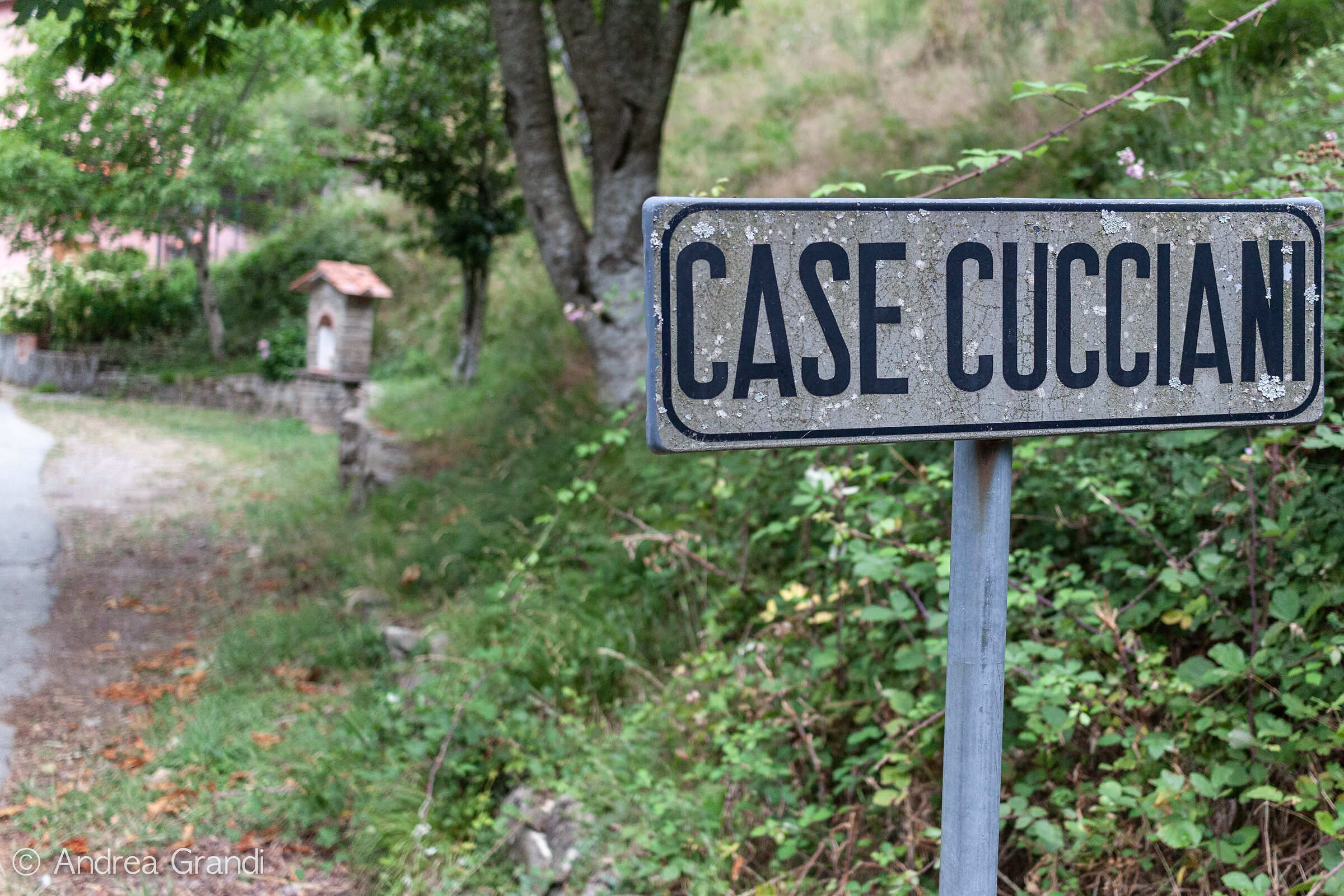 Cucciani Case Cartel