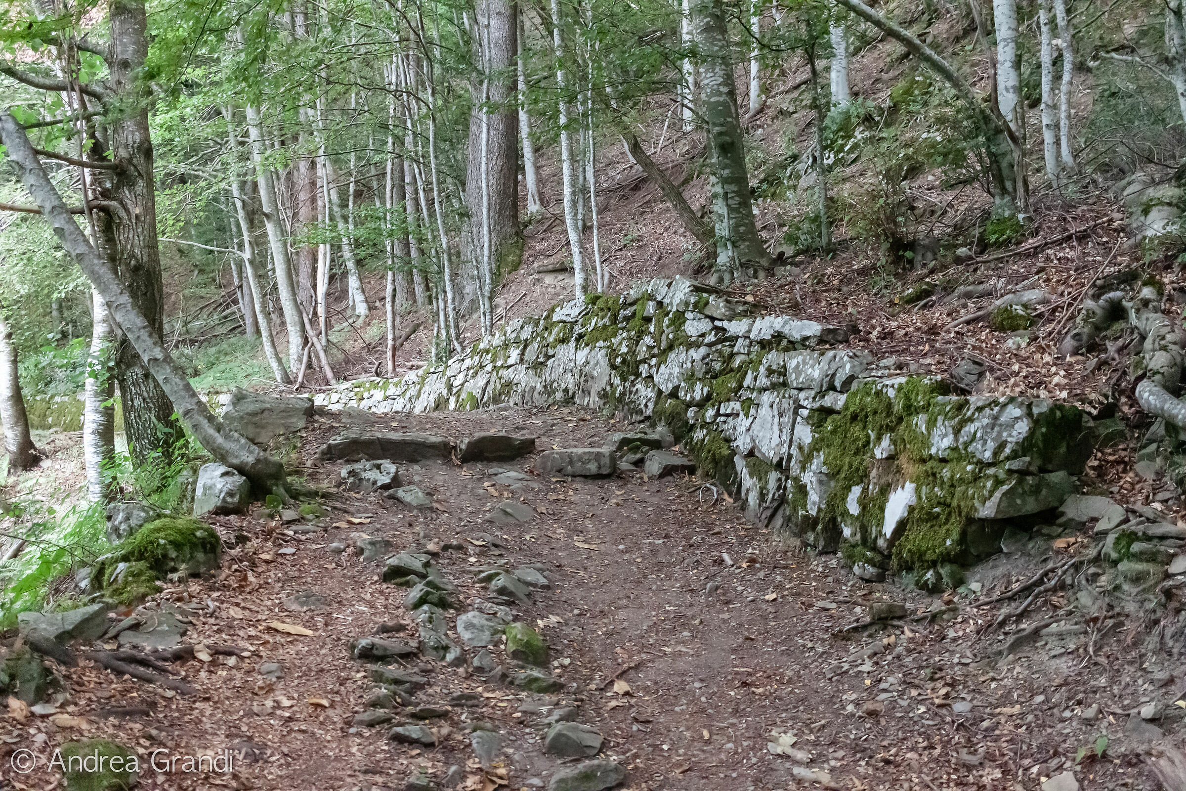 Il sentiero di Tiziano Terzani