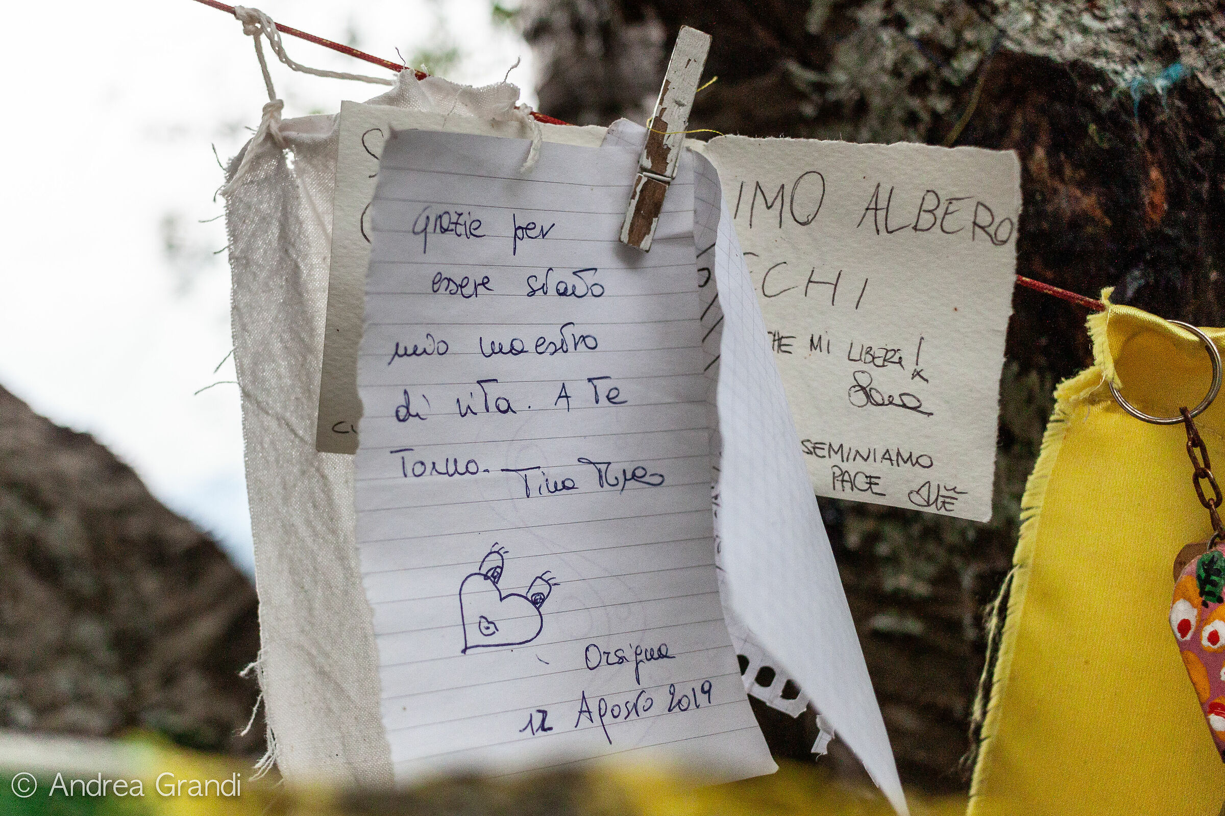 Tickets with phrases in tribute to Titian Terzani