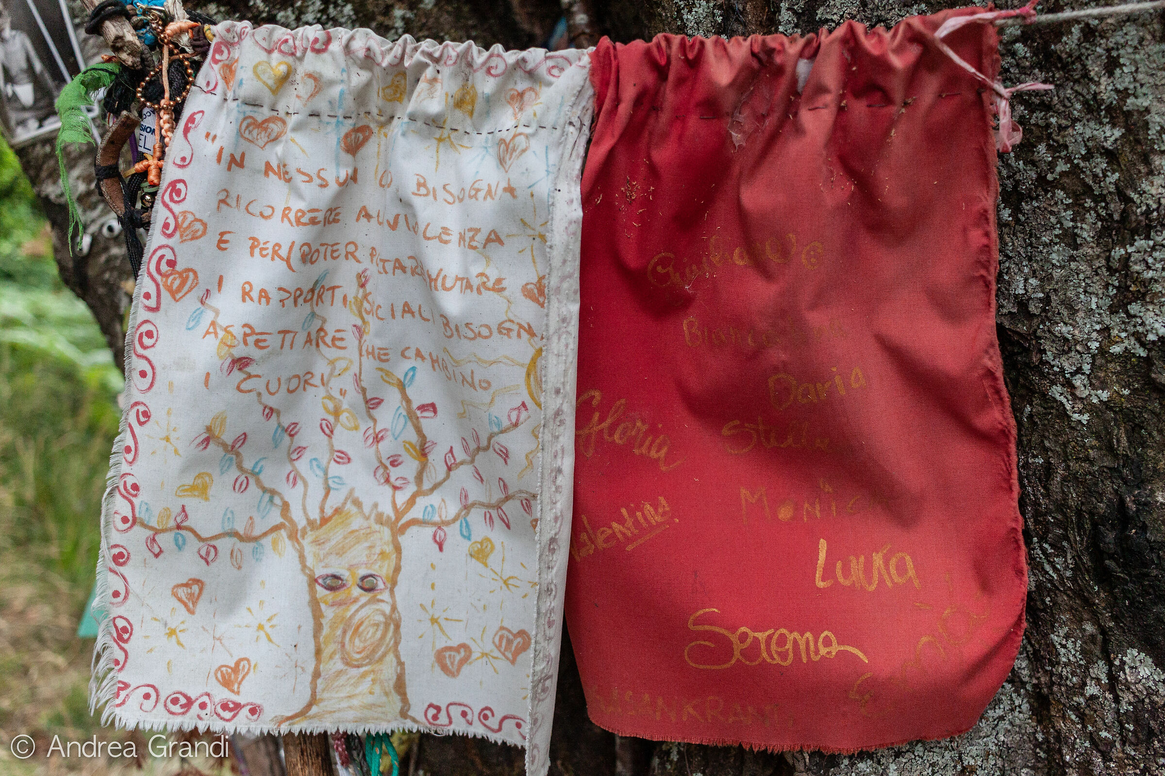 Remembrance flags on the tree with eyes